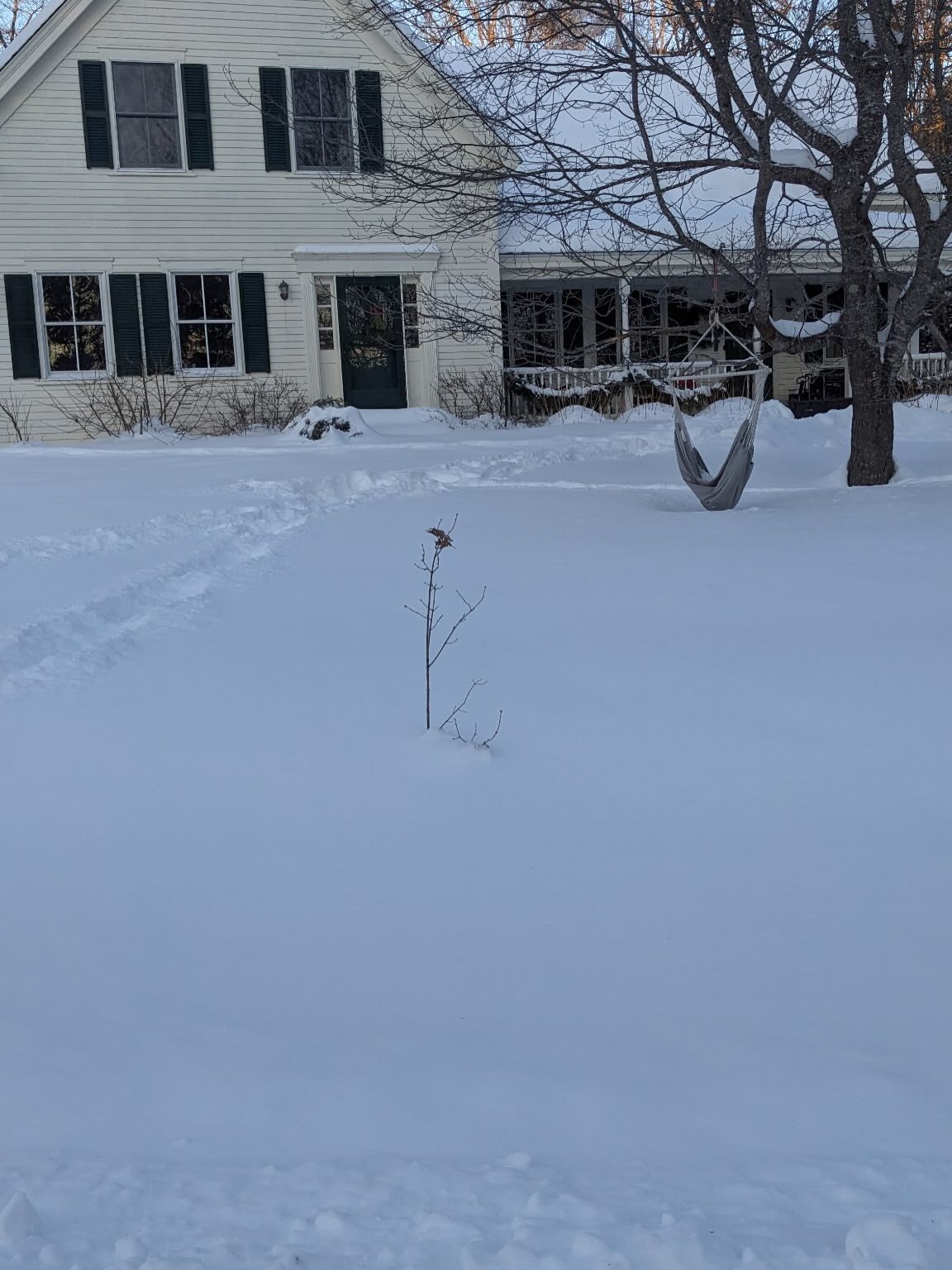 Daily commute bloody cold this am
#foundrylife #digbyveeverscarter #somersetsculptureandfoundry #maine