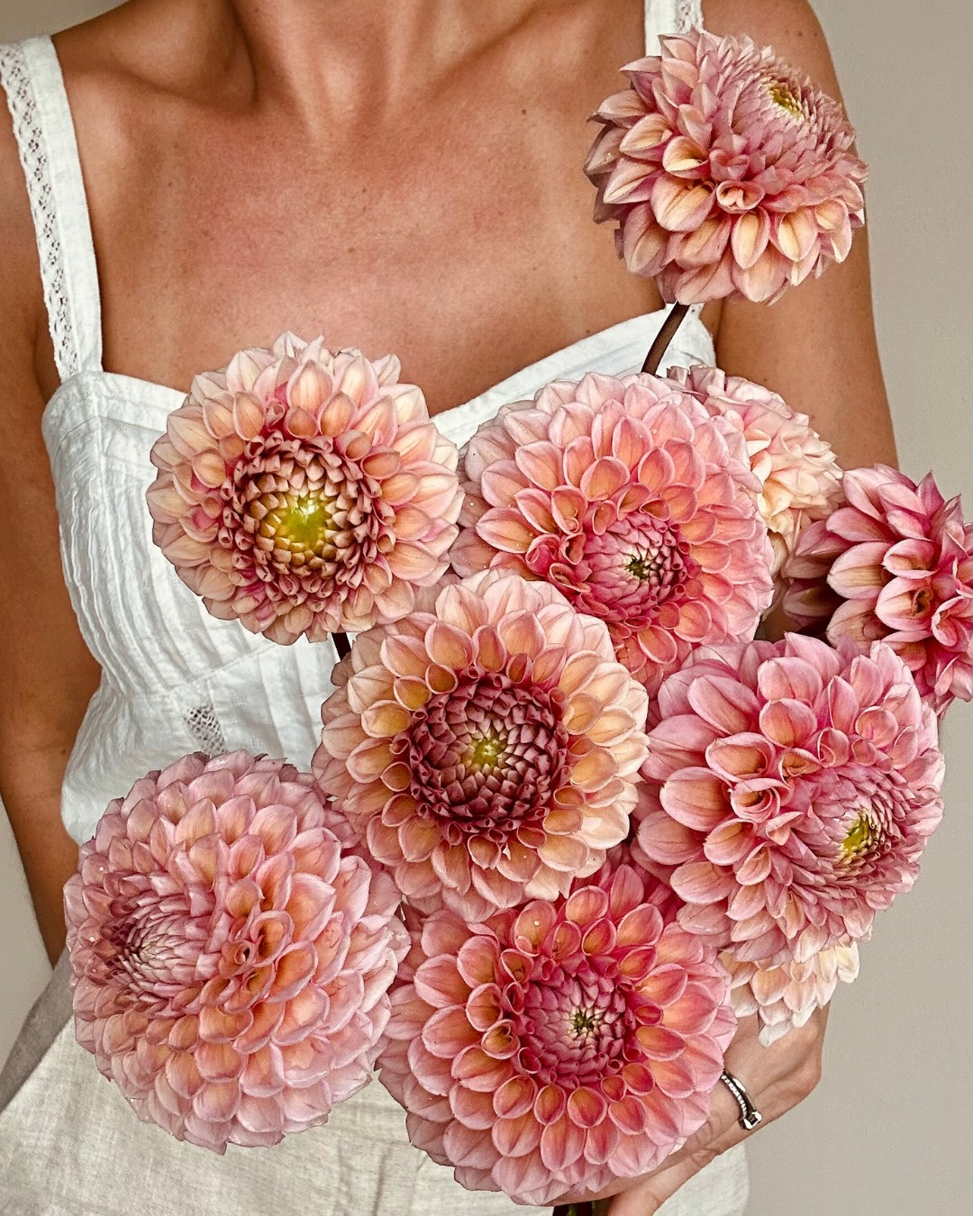 Bracken Rose med sina unikt gammelros-rosa blommor. Färgen skiftar i varma rökiga rosa toner som drar lite åt gyllene beige 😍
I sommar ska vi odla den amerikanska varianten och jämföra de två för att se om det är den vi har. Den amerikanska varianten har vid något tillfälle blivit felmärkt och sedan spridits långväga så det är inte den äkta Bracken Rose som istället kommer från Australien. Det ska blir väldigt spännande att se! Äkta eller ej - det är en helt fantastisk bolldahlia! Har någon av er odlat båda sorterna och sett skillnaden?
Bracken Rose with its unique old rose-pink flowers. The color shifts in warm smoky pink tones that lean a little towards golden beige 😍
This summer we will grow the American variety and compare the two to see if it is the one we have. The American variety has at some point been mislabeled and then spread far and wide so it is not the real Bracken Rose which instead comes from Australia. It will be very exciting to see! Real or not - it is an absolutely fantastic ball dahlia! Have any of you grown both varieties and seen the difference?
#storiesandcreations #dahliadesire #brackenrose #uniquedahlias #unicorndahlia