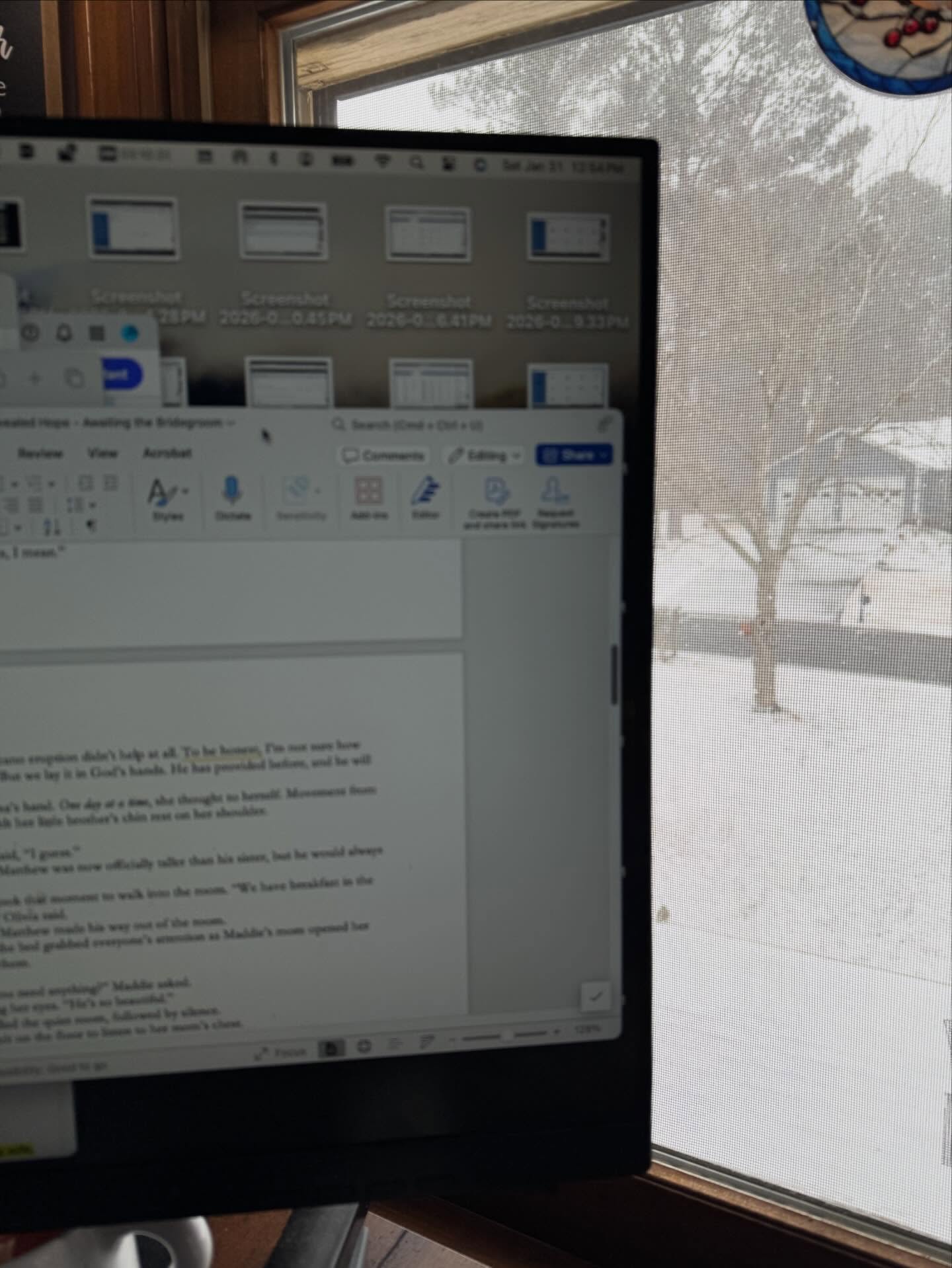 Snow ❄️
Birds 🐦
and a Story waiting to be written ✍🏻
Drop emojis in the comments below with your Saturday shenanigans.
#amwriting #revealedhopebook #revealedbookseries