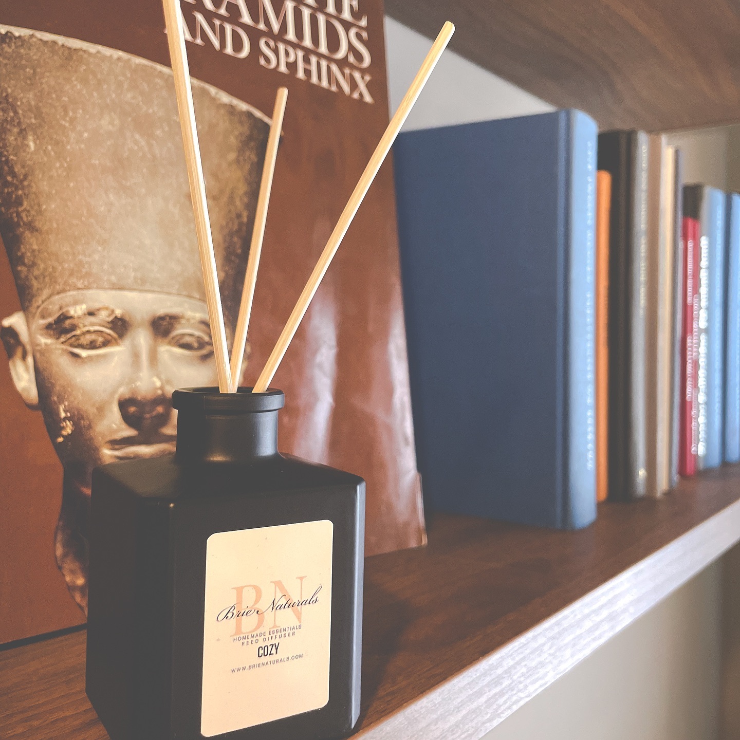 Brie Naturals Scented Reed Diffuser
Dm To Order / More Info
Shipping Available 📦✈️
#brienaturals #holidayseason #soywaxcandles #handpoured #connecticut #giftideas #hisorhers #homedecor #interiordesign #scentoftheday #supportlocal