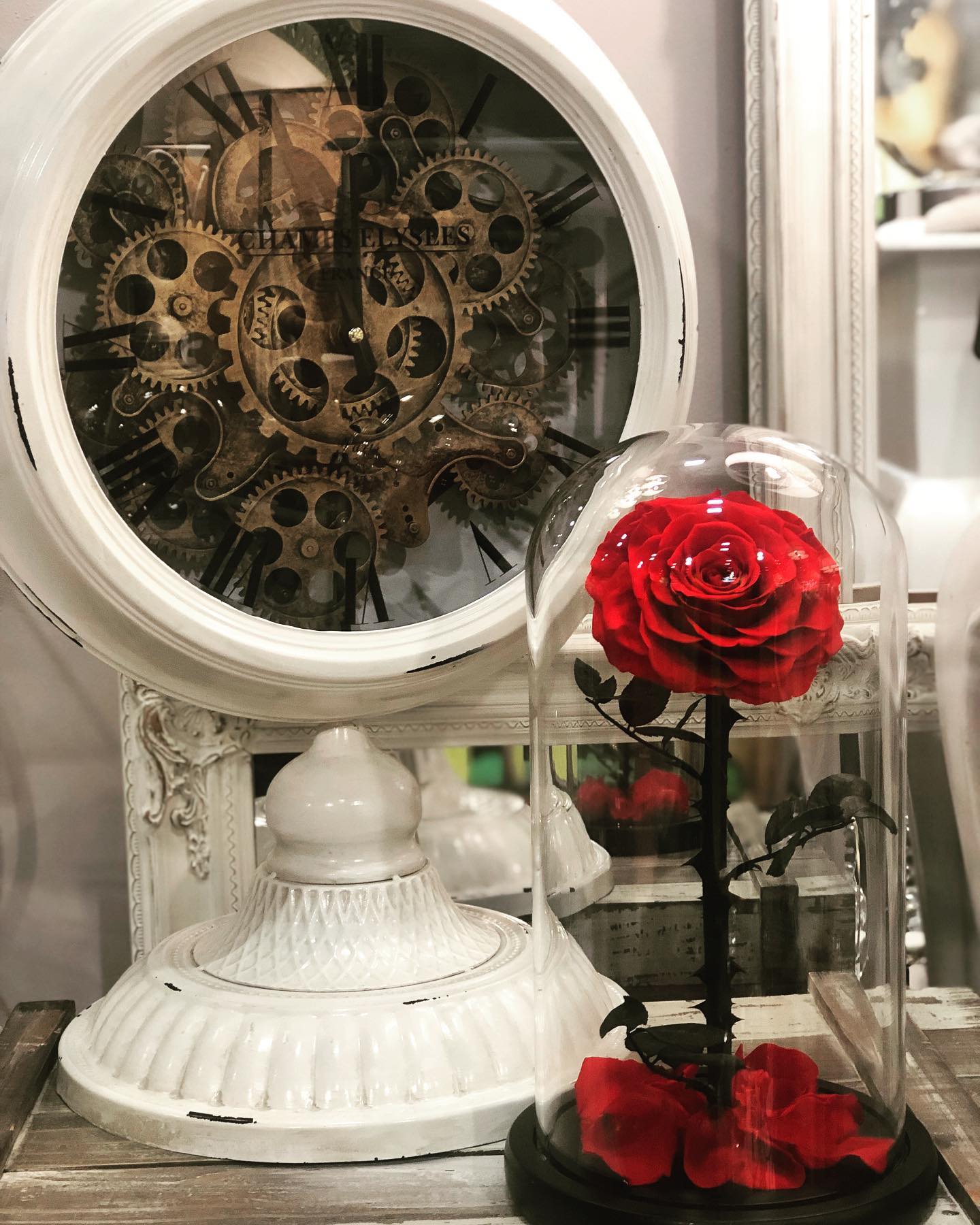 No caption needed 🌹#lastingroses #longlastingroses #everlastingroses #roses #interiordesign