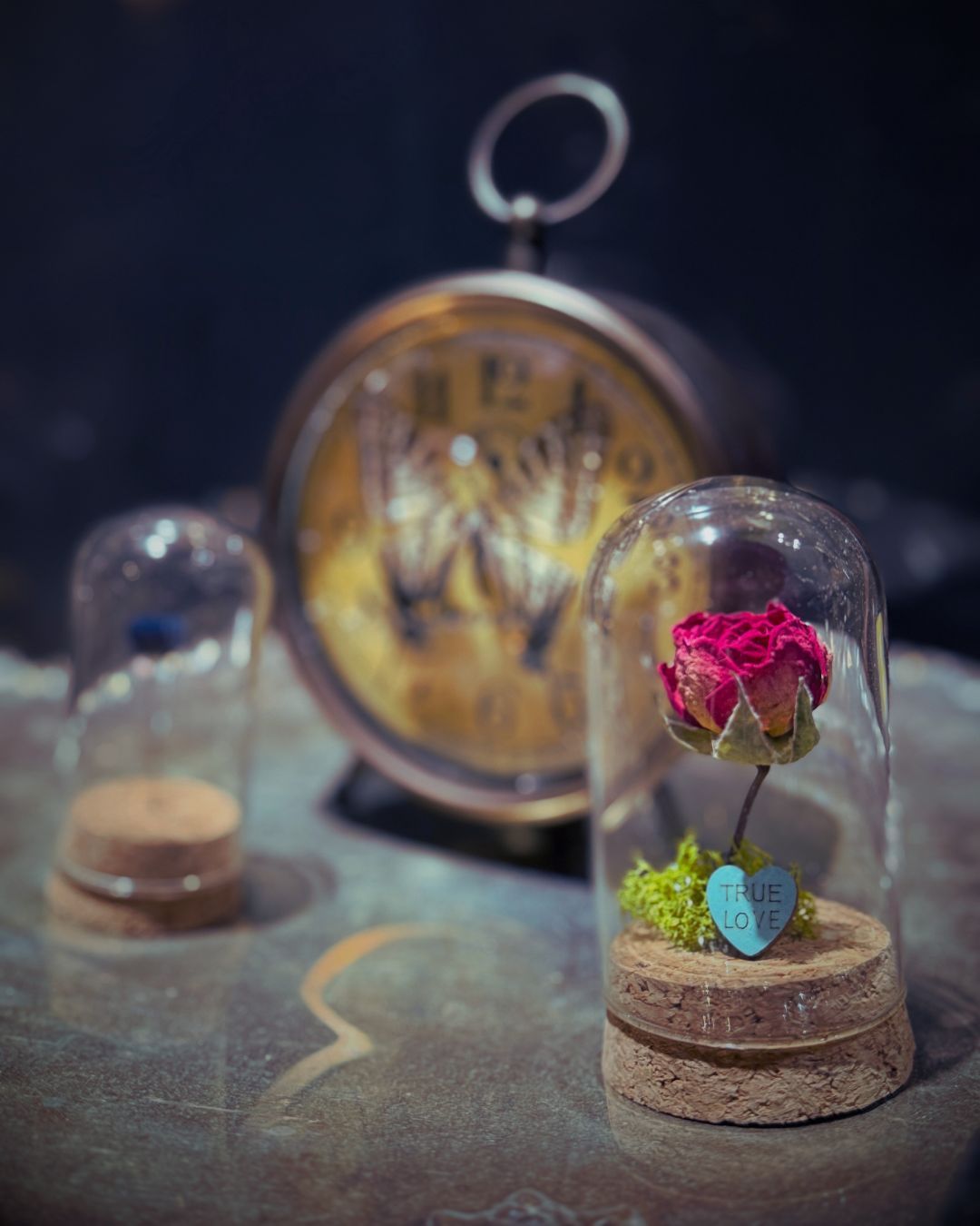 So many ways to say “I love you!”
#truelove #oddities #uniquegift #curiosities #shopsmall