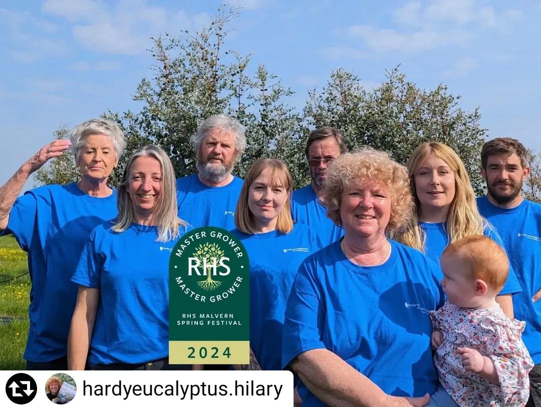 We are thrilled that our nursery and team of horticulturists have been awarded RHS Master Grower status!
Follow @hardyeucalyptus.hilary
To see what we're getting up to at the show!
#Repost - @hardyeucalyptus.hilary
Delighted to finally announce that we are THE RHS Malvern Spring Festival MASTER GROWER 2024! ๐
Not only is this the first time Eucalyptus has been chosen for the Master Grower exhibit, we've just been told we've built "the biggest exhibit we've ever had in the marquee"! ๐
Grown by our team of horticulturists and built by our other company; @envisage_gardens
Everyone has worked their socks off for this moment, and we couldn't be more proud of our amazing crew.
See you at Malvern tomorrow!
Wishing you lots of Eucalyptus love, from the Grafton Nursery team.
@the_rhs
@malvernshows
#graftonnursery #envisagegardens #hardyeucalyptus
#rhsmalvern #therhs #rhsshows
#eucalyptusfoliage #eucalyptustree #eucalyptus