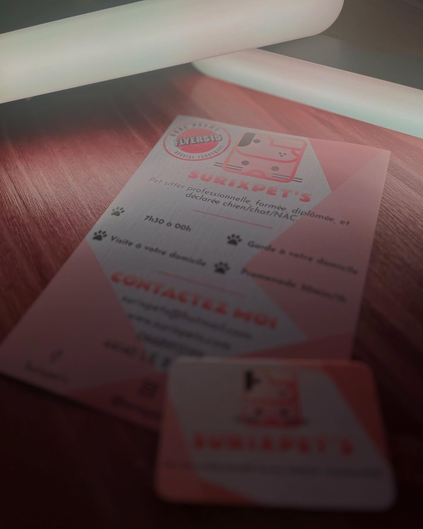 Les flyers et cartes de visite sont arrivés 🤫