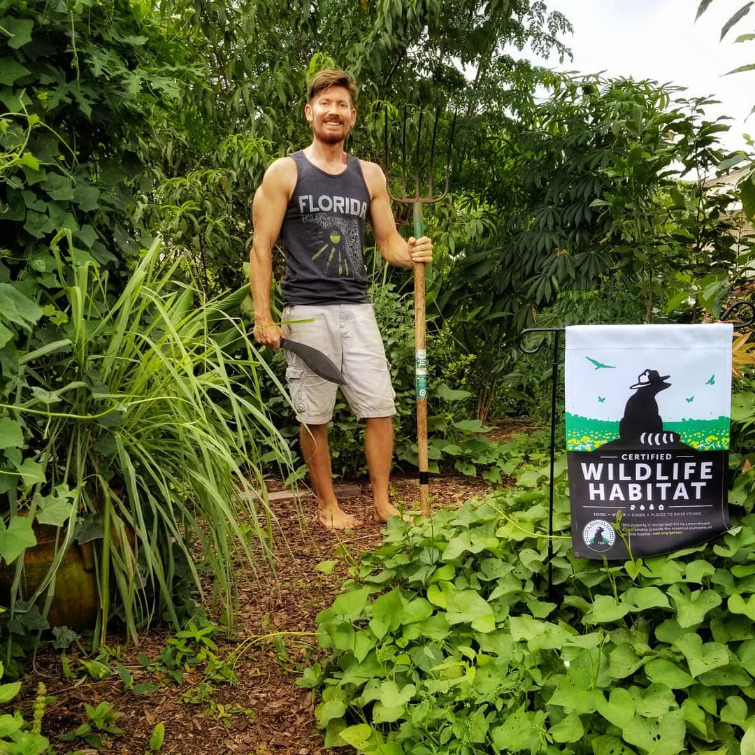 Food Forest life. Where the wild ones are. 🦎🐛☘🐝🐞 Relearn. Rewild. #foodforest #permaculture #bethechange #plantlover #foodnotlawns #resilience #nationalwildlifefederation #wildlifehabitat