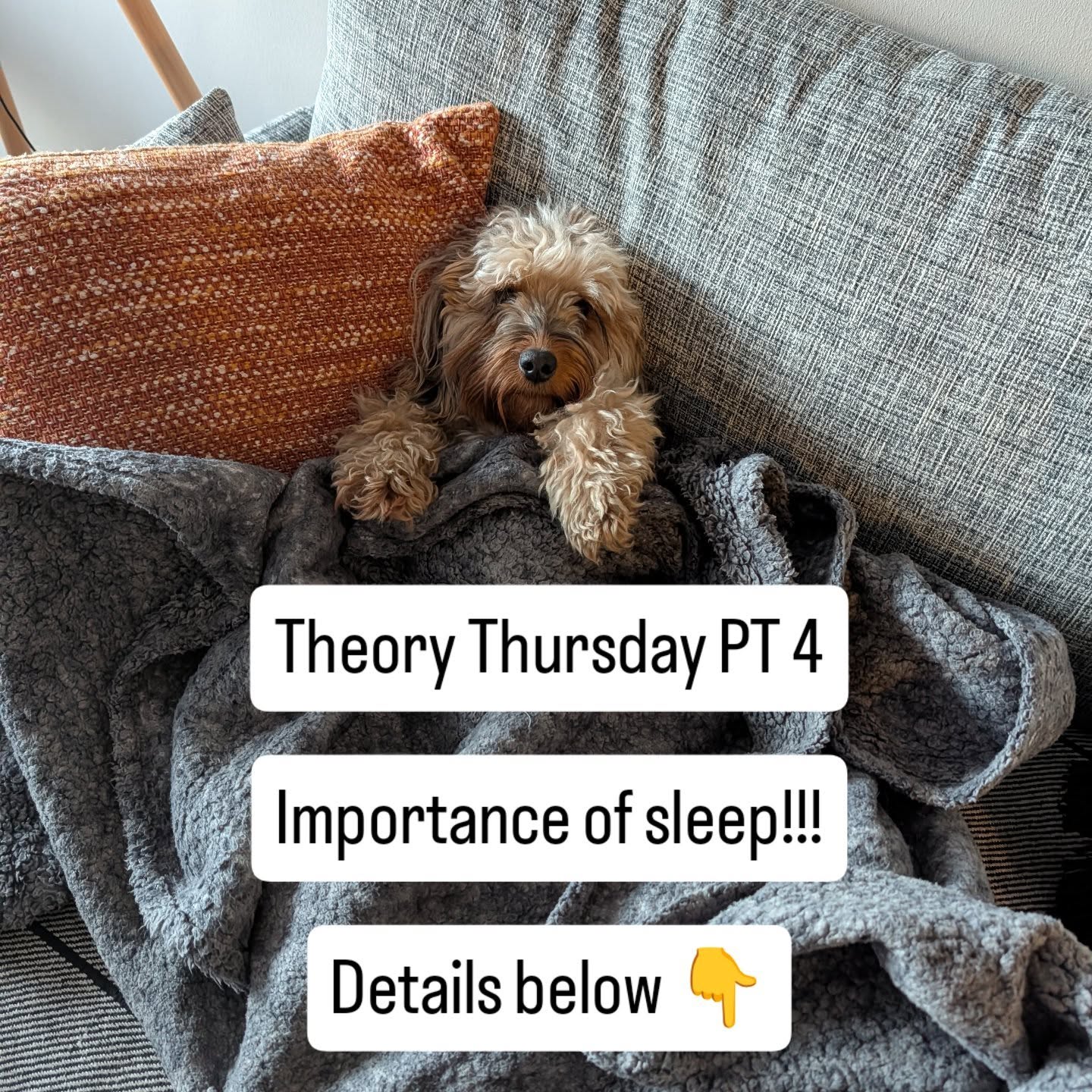 Theory Thursday pt 4 - a wee series of tips and hints to get you running better.
💤💤Sleep: The Most Underrated Training Session 💤💤
Runners love to brag about early alarms, double days, and “accidentally” doing a long run that was supposed to be easy. But ask how much they slept and suddenly everyone turns into a witness in a crime documentary.
The truth? If you’re not sleeping, you’re not recovering. You’re basically collecting miles like I collected Panini football stickers and hoping for the best.
A few truths your future self will thank you for:
💪Your muscles are repaired at night. Deep and non-REM (not the fellas in the corner and in the spotlight!) release hormones such as HGH and IGF-1 which help with muscle repair and rebuilding. As well as this protein synthesis happens more effectively when the muscle is at rest.
🥵In relation to running performance, good sleep improves pacing judgement and can lower the rest of perceived effort.
🤕Lack of sleep increases injury risk. Poor sleep = poor recovery = fragile body… and increased physio bills!
🤧Your immune system needs sleep to stop you catching every cold within a 5‑mile radius
If you’re interested, Matthew Walker’s book, Why We Sleep, is a brilliant (and slightly terrifying) read that explains why your brain and body basically file a formal complaint when you cut corners on rest.
Remember….
Rest and sleep aren’t signs of being lazy.
Run smart. Rest like it’s your job.
#runsmart #runnersofinstagram #sleep #rest #recovery