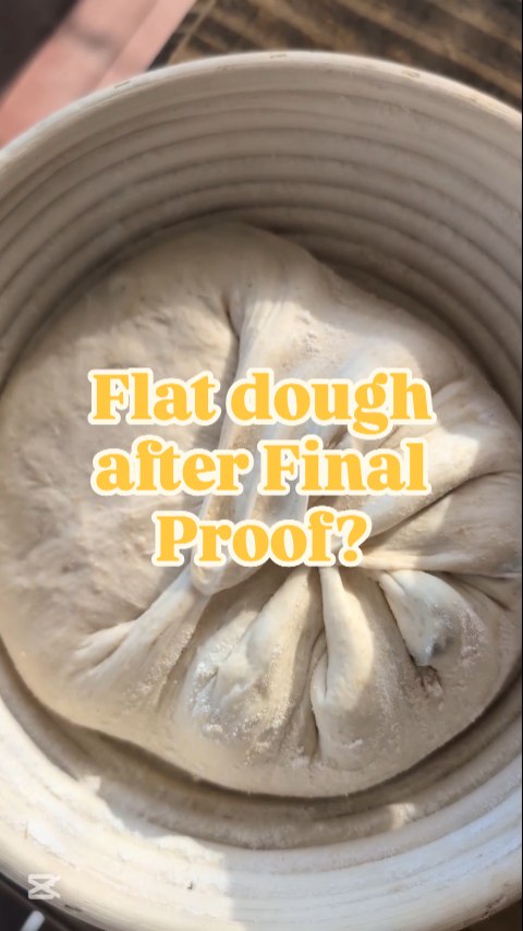 Rushed your dough?
We've all been there. š And when we rush it, sometimes, we don't get enough strength in them. So what happens? They flatten out. Thatās because the yeast hasnāt had enough time to make gas.
What does the gas actually do in the dough?
Think of your dough like a stretchy balloon filled with tiny bubbles:
- As fermentation happens, more and more COā gets trapped inside the gluten network (the elastic web formed by flour + water).
- These bubbles expand slowly, making the dough puff up.
- During bulk fermentation, the dough isnāt just getting biggerāitās building structure around those bubbles so they donāt pop.
This video shows what I like to do to help it out a bit and keep it tall in my Banneton. It's not much but it does help.
Next time, give it the time it needs during bulk, and your loaf will thank you with height, flavour, and that gorgeous open crumb! š„āØ
#sipregobakingworkshops #Brisbanebakingclass
