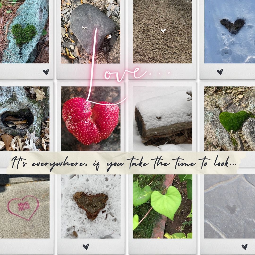 Love IS all around us every day and in everything. You can see the hearts I have found out in nature and even on busy streets. If we practice a moment of awareness, we will find it, and it will resonate within our body, mind, and spirit. Find your heart and share it with me!
Happy hearts every day, feed your self-love.
Be well ✨
#achsedu #holistichealth #healing
#liveyourtruestself #inspiration
#mentalhealth #resilience #wellness #selfcare
#womensupportingwomen #friendlove
#alignyourinnerandouterbeauty #straffordnh
#magichappenswhenwomengather