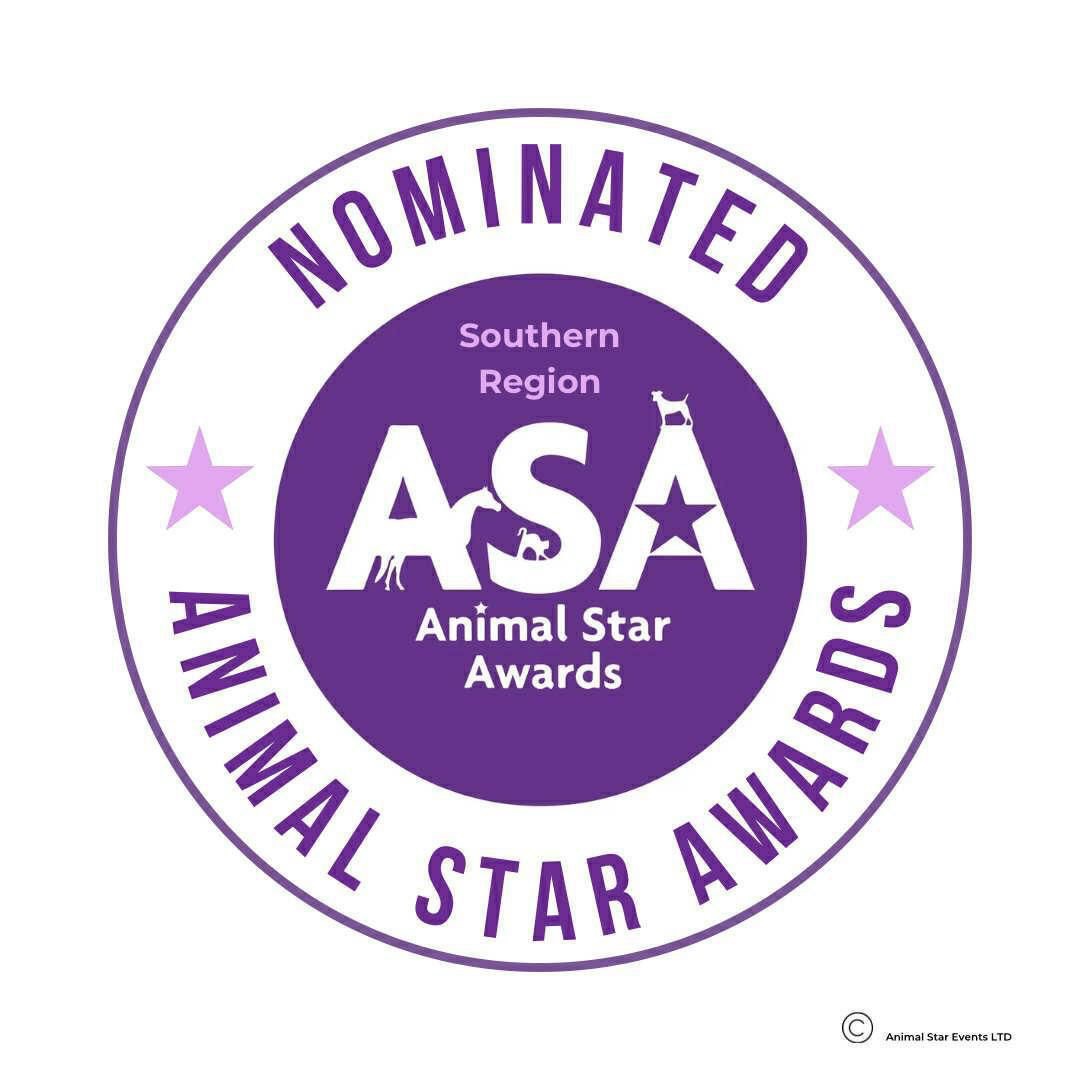 How Exciting! ✨
Got told today that I have been nominated for an animal star award by @animalstarawardsuk!
What a lovely way to brighten up this rainy day 🥰
Next step is shortlist 🤞 🐾