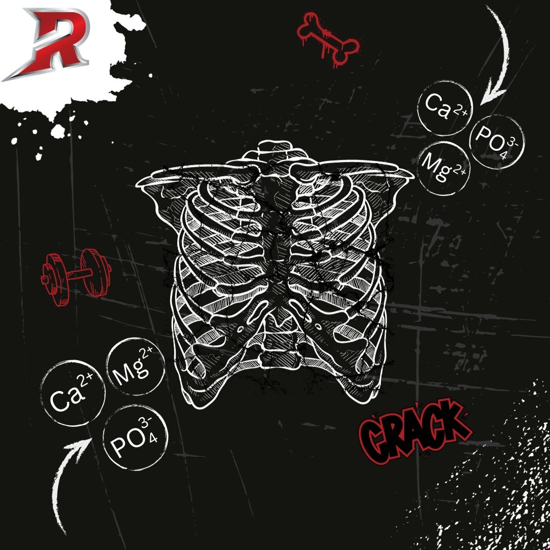 Embracing an active lifestyle, especially through activities like weightlifting, offers more than just bulging biceps or a trim waistline – it's a game-changer for your bones. You see, when you exercise and apply a little stress to your bones (about 1/10th of what's needed to break them), something incredible happens. Your bones develop these tiny microcracks. It sounds intimidating but here’s what’s great: your body steps in with minerals and acts like the ultimate handyman, patching up those cracks, and reinforcing your bones. Think of it as giving your bones a slightly sturdier suit of armor after every chink. So, if you're eyeing a future where you remain active, strong, and free from the shackles of fractures, then heavy weightlifting and plyometrics are the ingredients to securing that lifelong bone health. Let’s get those bones to last as long as you do! 💪🦴
#BoneHealth #StrongBones #WeightliftingBenefits #HealthyLiving #StayActive #FitnessJourney #Plyometrics #ActiveLifestyle #HealthyBones #FitnessMotivation #PhoenixFitness #AZFitness #PhoenixStrong