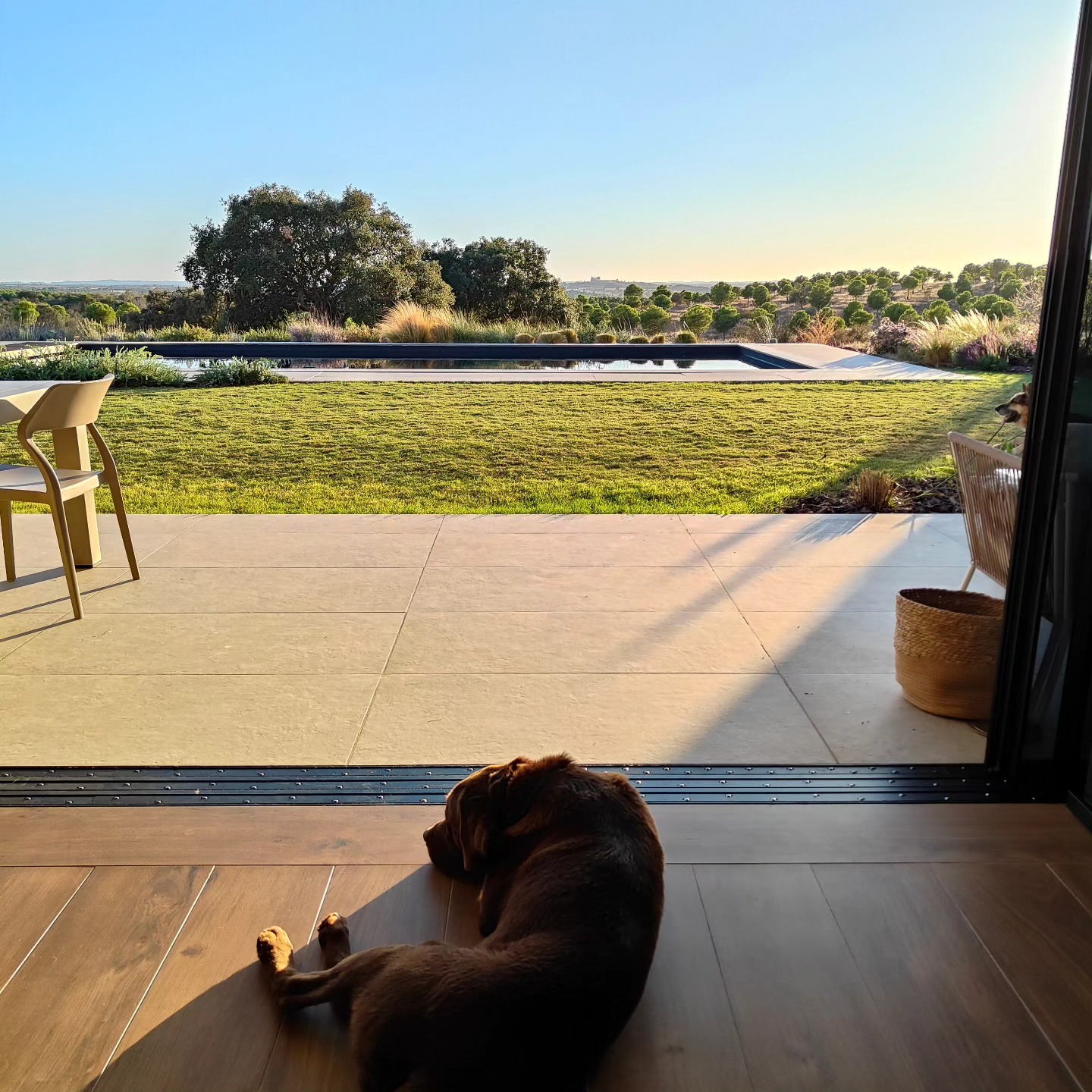 🐾 Welcome to Monte Vicente, your perfect holiday escape where elegance meets comfort. 🏡✨ We invite you to bring your beloved pets along—everyone deserves a getaway! Enjoy breathtaking views and create unforgettable memories in our cozy accommodations. Book your stay today! 🐶❤️
.
.
#MonteVicente #PetFriendly #HolidayHome #NatureEscape #visitalentejo #visitportugal #vacation #airbnb
