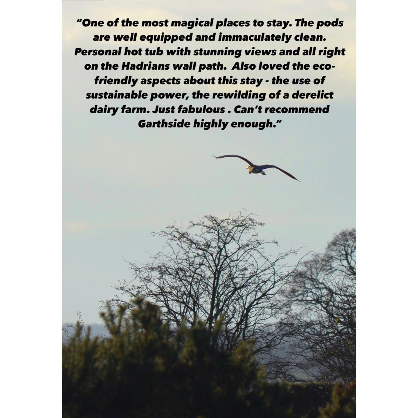#garthsidefarmholidays #glamping #camping #hadrianswall #hadrianstrail #wildlife #wildlifephotography #cumbria #carlisle #brampton #rewilding#staycation #birdphotography #holiday #garthside