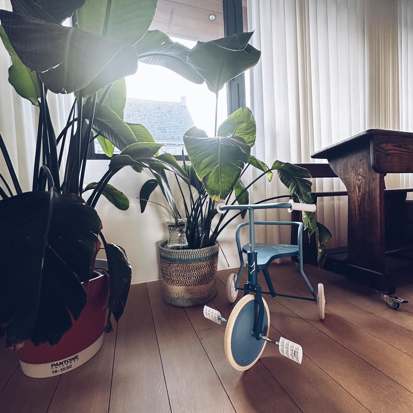 Home 💕
Extreme verzamelwoede verliest steeds vaker van orde en rust in m’n hoofd. Less is more. Maar wegsmijten is voor m’n wederhelft. Want dat kan ik nog steeds niet🙈
Zijn er hier nog of ben ik de enige?🤣