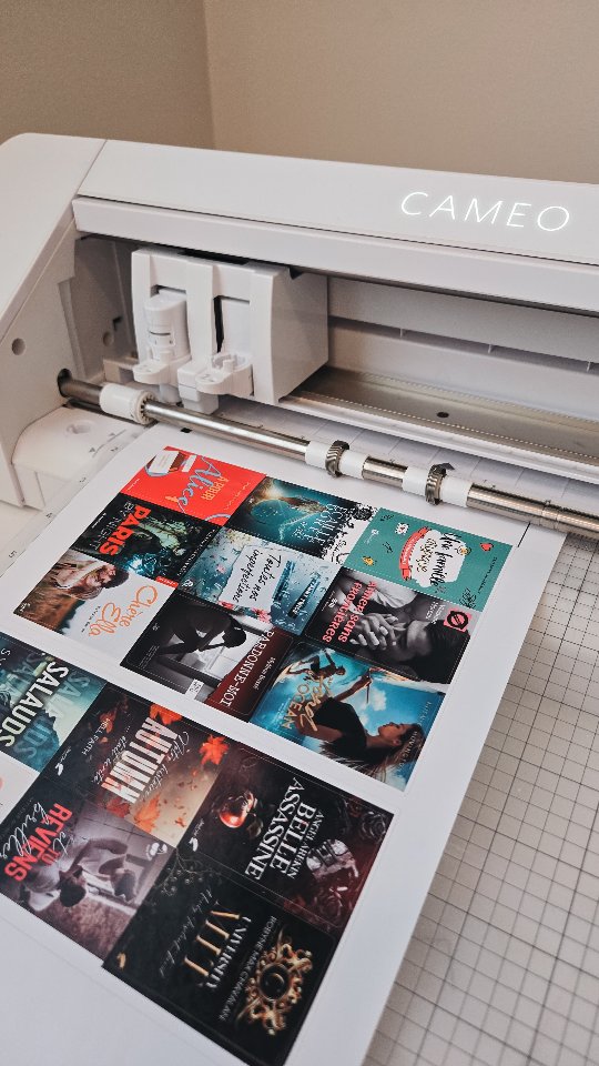 ✨️Vous pouvez commander directement sur mon site web vos autocollants de couvertures de livres. 📖 Vous n'avez qu'à m'envoyer votre liste et je m'occupe du reste!
#mariescrafting #bookishshop #bookstaqc #booksta #booklover