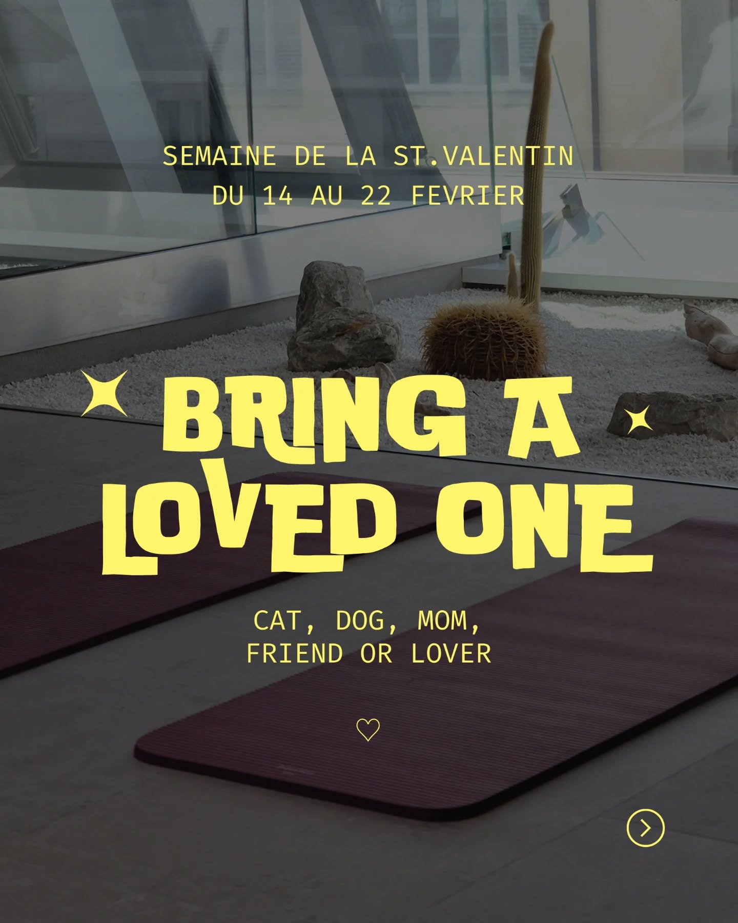 ♡ Spéciale Saint-Valentin ♡
(Repost après une erreur 🫢)
Pendant la semaine de relâche, du 14 au 22 février, viens t'entraîner à deux pour le prix d'un.
Ami·e, famille, amant, date Tinder...
C'est l'occasion parfaite de partager la séance !
En revanche, si tu viens avec ton chat…
je ne promets pas de te le rendre 😼
Découvre mes cours en détail dans mes posts descriptifs ou sur mon site www.kimwitmer.ch
⚠️Vendredi 20 févier il n'y aura pas de Lift Like Lady
⚠️ dimanche 22 février, le cours est exceptionnellement à 18h30!
•
Inscription obligatoire (DM ou lien en bio)
Les 2 personnes doivent s'inscrire séparément. Le paiement et le "2 pour 1" se feront sur place!
Places limitées
•
Attention : Lift Like a Lady est un cours féminin.
Lieu : @apex.lounge.ch + @premier.etage.vevey