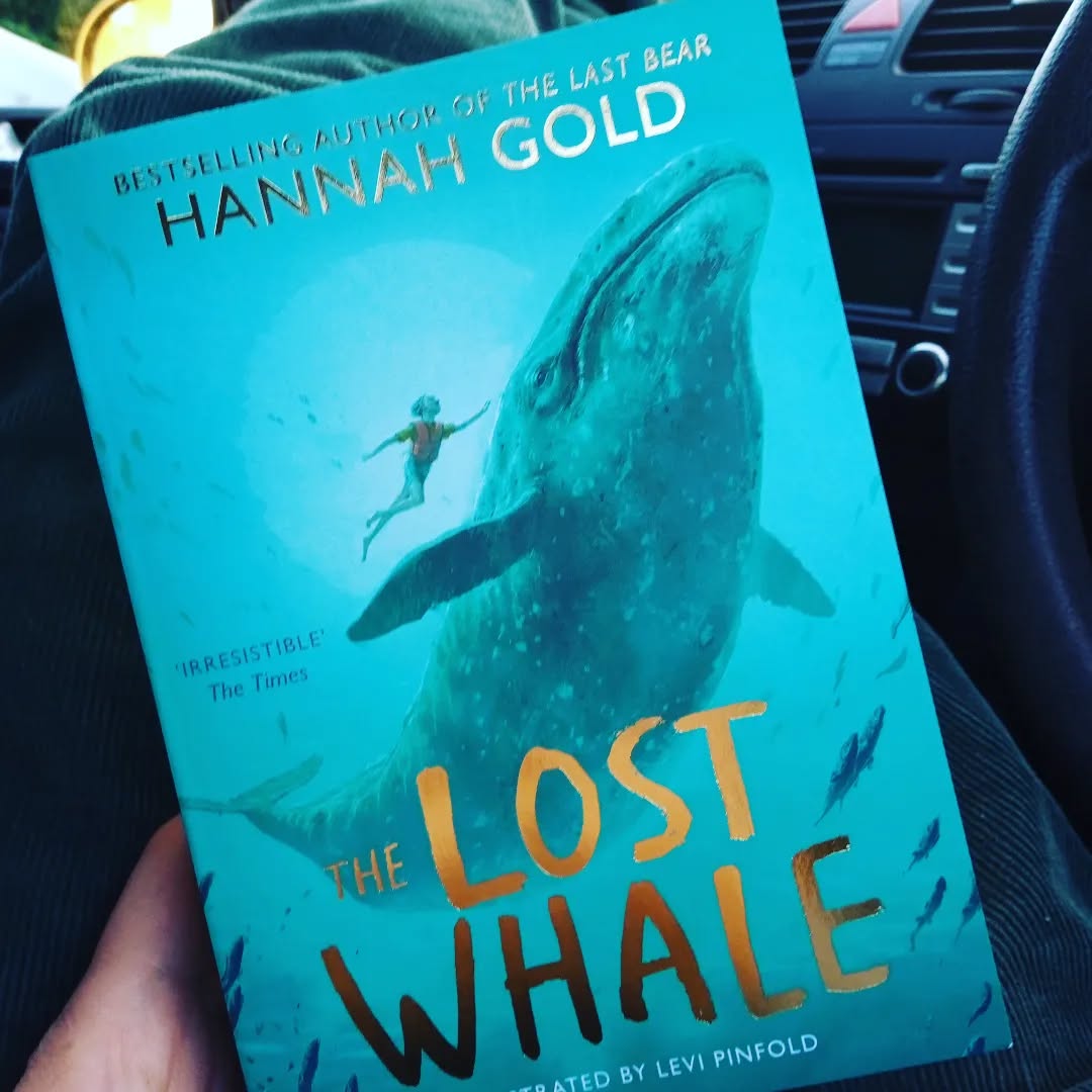 About the only bonus of being a taxi driver for teenage offspring is that I have time to waste reading gems like this ..... Having recently reviewed 'Finding Bear', Hannah Gold's soon-to-be-released sequel to 'The Last Bear', I am backtracking and reading this story for young wildlife lovers and marine enthusiasts everywhere. If you've never been whale watching you will have added it to your bucket list by the time you finish reading....I know I have!!