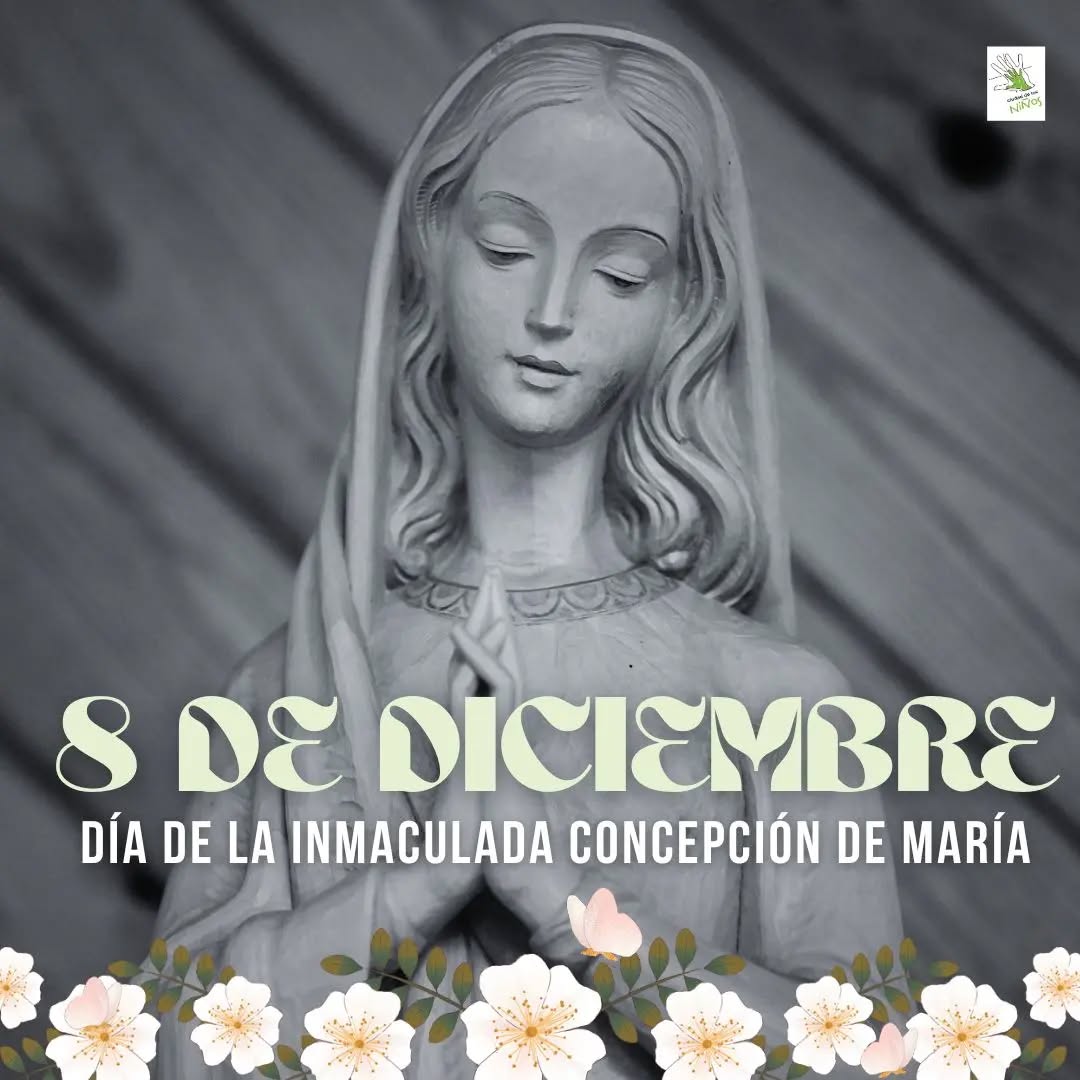 🙏Patrona y Madre de nuestra diócesis 💒
Pedimos tu protección y consuelo, cuida a tus hijos y a quienes más sufren
📿Este domingo nos reuniremos, como cada año, a compartir la celebracion de la misa en plaza San Martin.
¡Están todos invitados!
#inmaculadaconcepciondemaria #maria #CiudadDeLosNiños