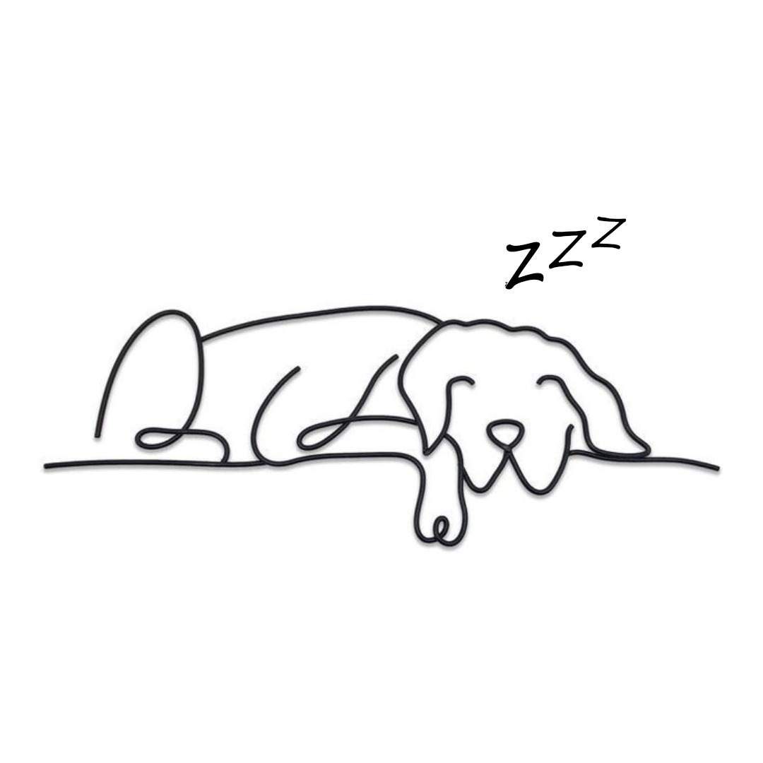 Someone pawtied too hard.