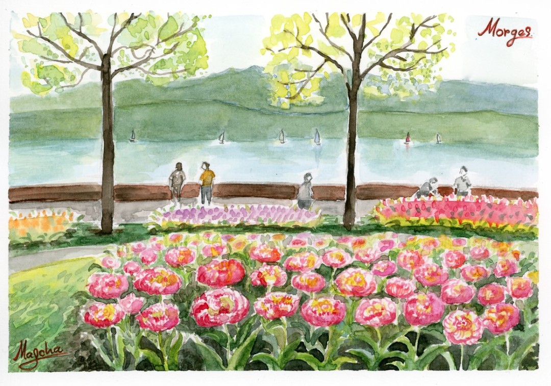 Aquarelle de la fête de la tulipe a Morges
www.maschapaintings.com
Watercolor painting of Tulip festival in Morges, Switzerland
www.maschapaintings.com
#watercolor
#Morges
#tulips
#tulipemorges
#fetedelatulipe
#switzerland