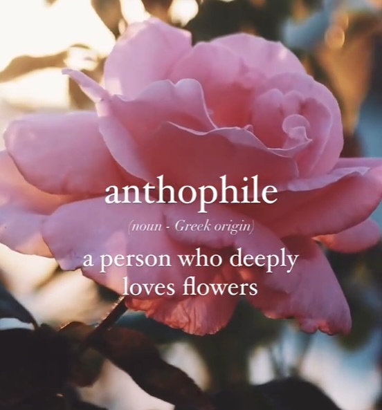 ANTHOPHILE
A Greek noun of someone who deeply loves flowers.
Who isn’t instantly rejuvenated upon the view of flowers? They are a naturally occurring phenomenon that inspires happiness in me everyday.
What’s your favourite flower?
📸@honorearthapothecary📸
#anthophile #flowerlove #plantbased #ABinspiringhappiness #plantlovers #ABskin