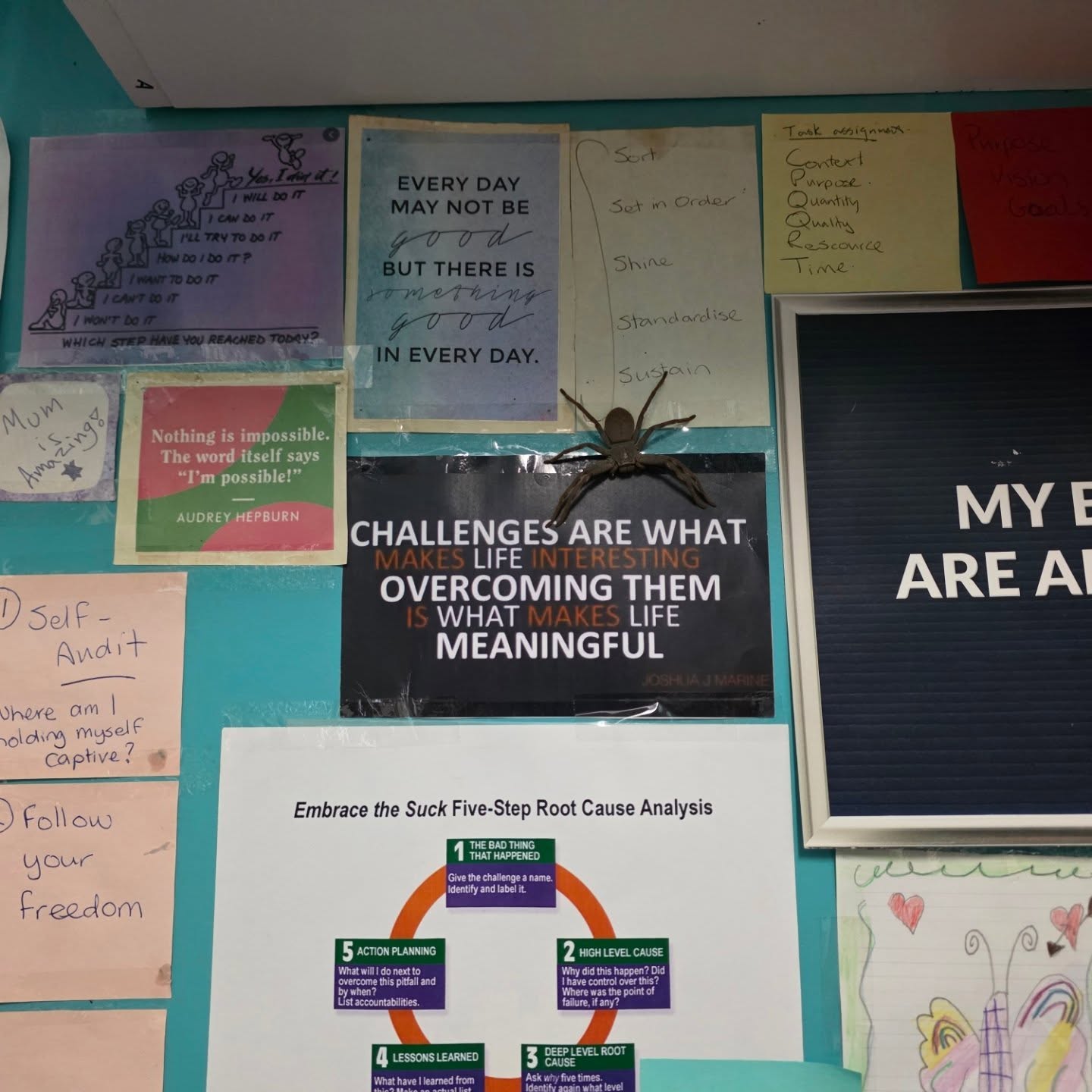 I think Herbert is trying to tell me something.