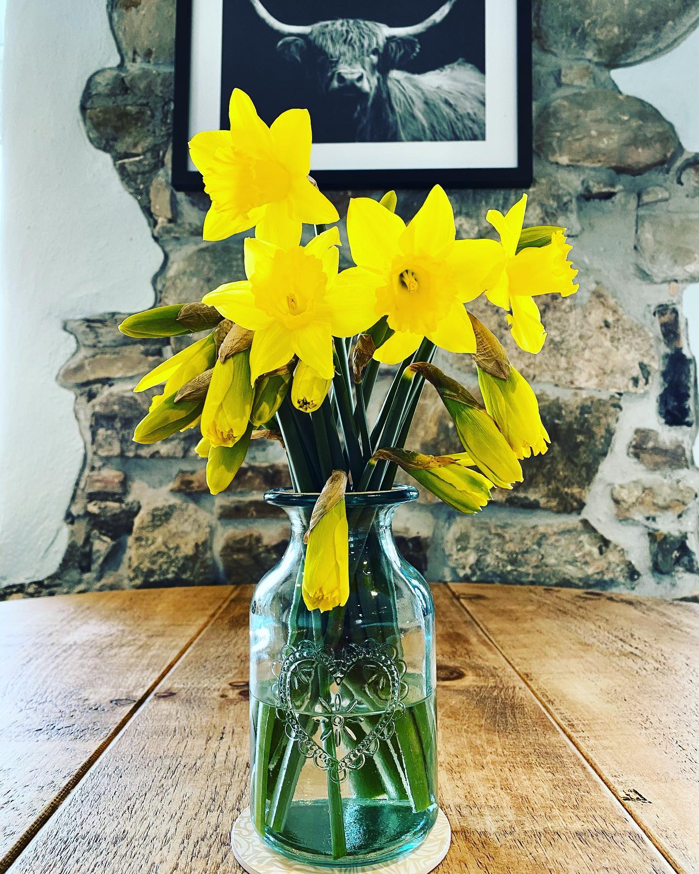 Spring time flowers in our Crofthouse.
#daffodils #springtime #crofthouse #self-catering #rusticdecor