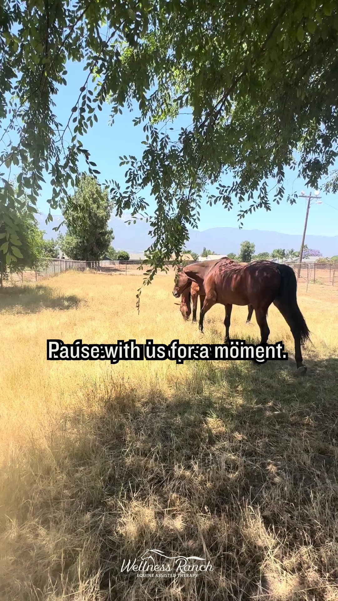 Take a breath
Take a break
Take a pause with us