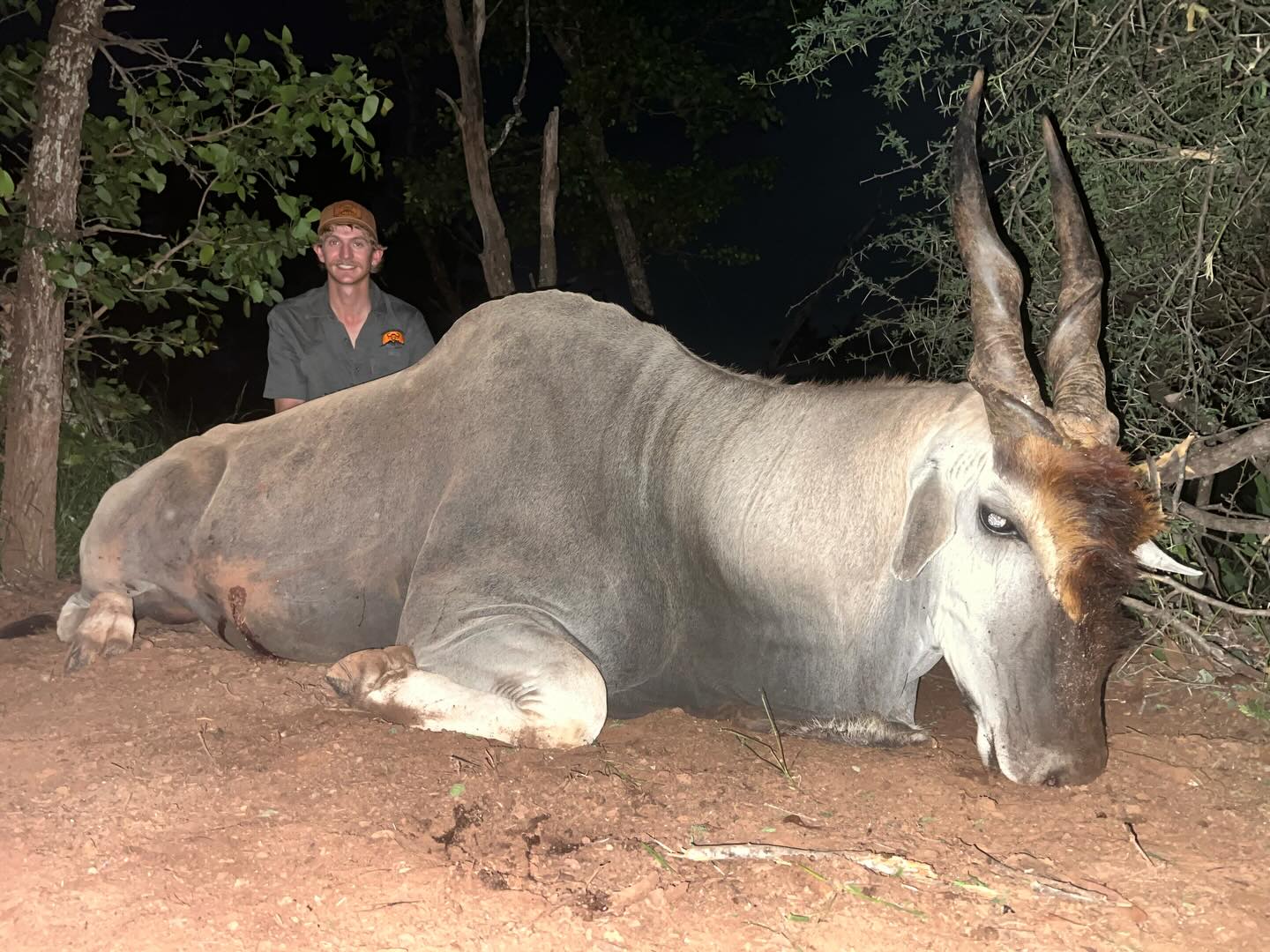 Another Brute Eland down! and in the salt!