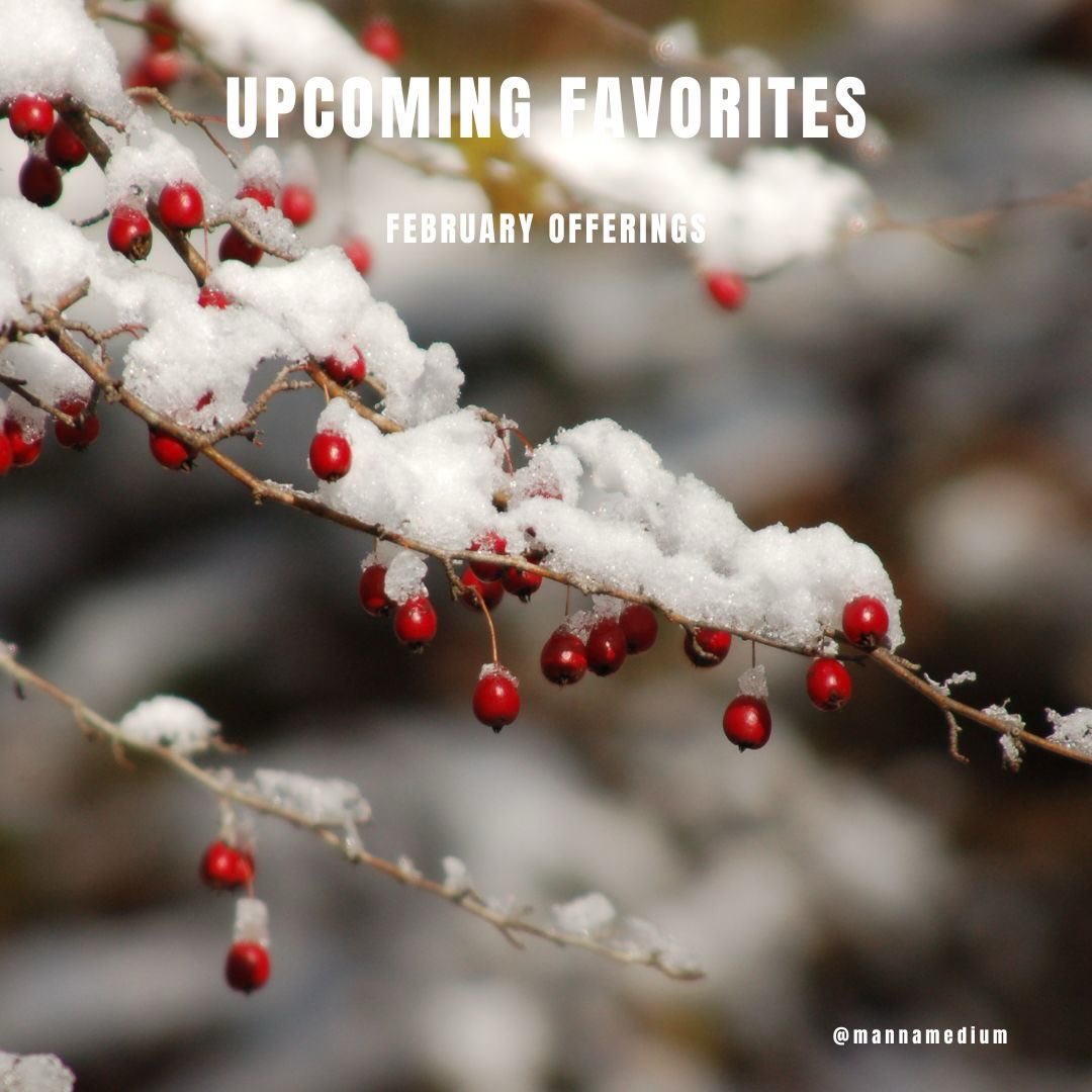 📅 Welcome February!
This upcoming month is filled with three new certifications, a free workshop and a free Peace Ritual - an offering for these chaotic times 💚
02/01: Death Doula Certification
02/03: Free Boundaries Workshop
02/07: Psychic Intuitive I Certification
02/08: Reiki Masters & Teachers Training
02/15: Free Peace Ritual
👉 Simply swipe left to explore the full lineup!
🎟 RSVP for any (or all) events at Clius.org
.
.
.
.
.
.
#February #SpiritualGrowth #PsychicDevelopment #MediumshipReadings