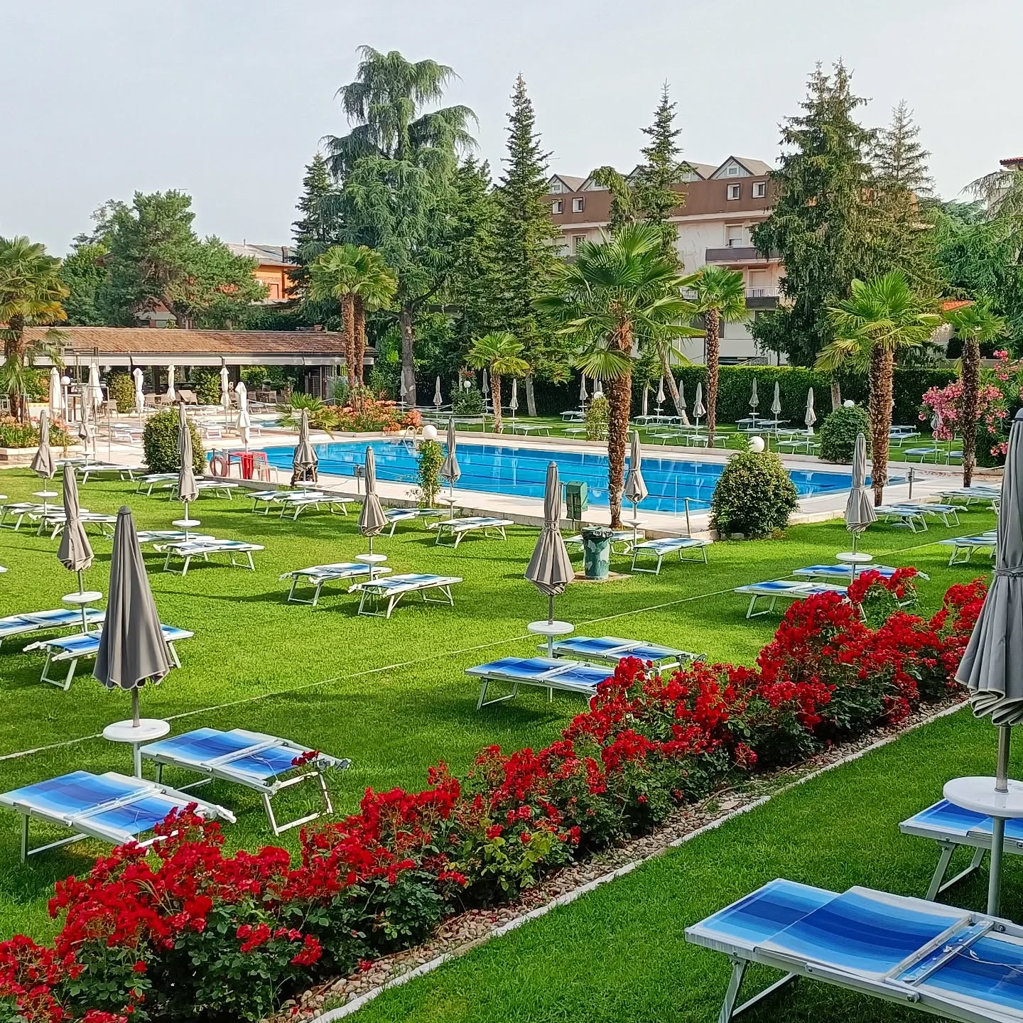 È venerdi e sei a lavorare, ma con la testa sei già in weekend mood 🙌
Vieni alle #piscinegreenclub, ti sembrerà di essere (quasi) al mare...ma in città!! 😎 Dove lo trovi un altro posto così?
Siamo aperti tutti i giorni dalle 9.30 alle 19.30 👉 PRENOTA ORA per assicurarti la tua postazione preferita in piscina 🔗 LINK IN BIO.
TI ASPETTIAMO!
.
.
.
#estategreenclub
#estate2024 #estateinpiscina #estateitaliana #piscinaamodena #piscinaestiva #summervibes #weekendmood