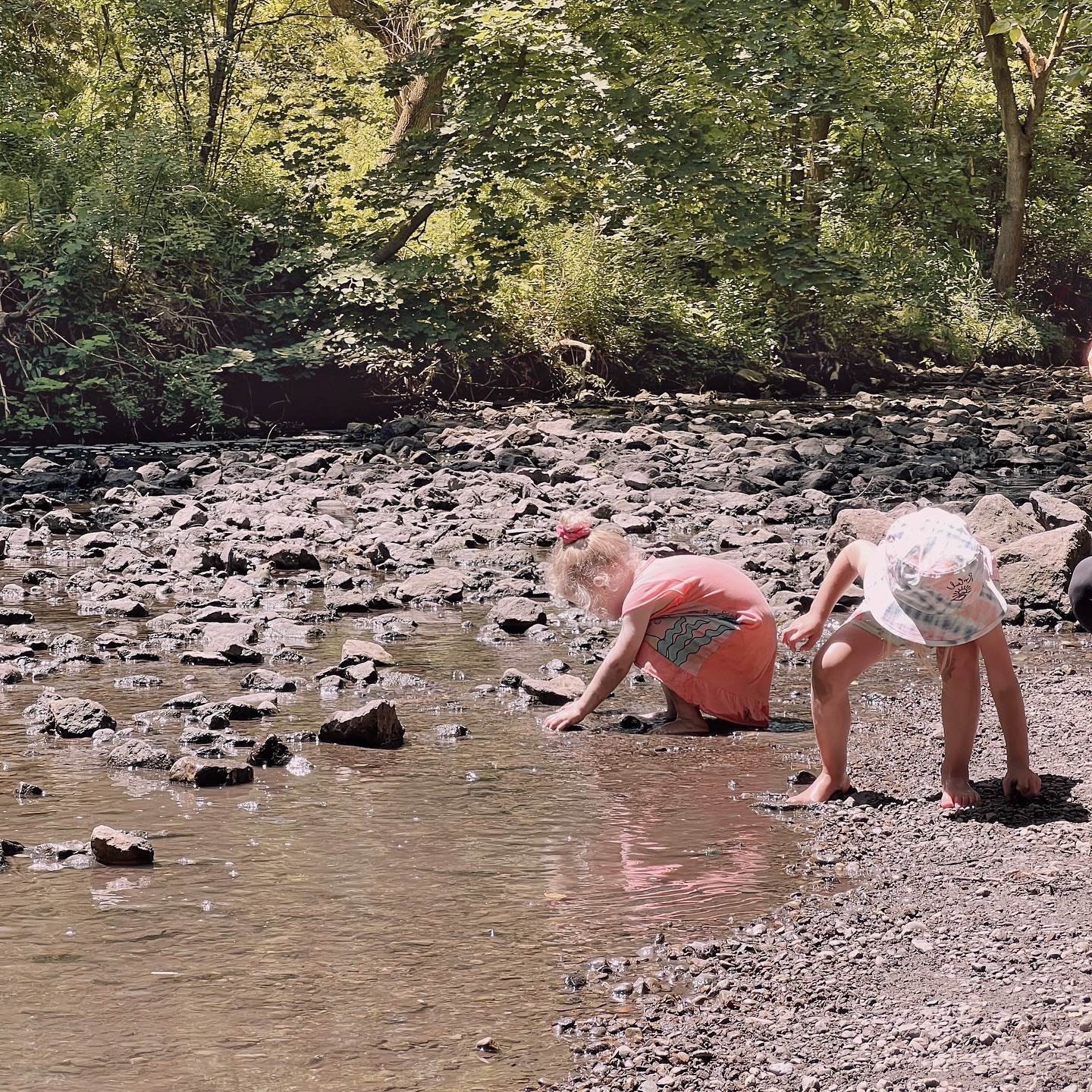 Finding the perfect river stones. #homegrowntomatoes #outdoorexploring #rockyriverbeds #riverstones #childcare #nanny #nannyshare #daycare #torontobeachesdaycare #homedaycare