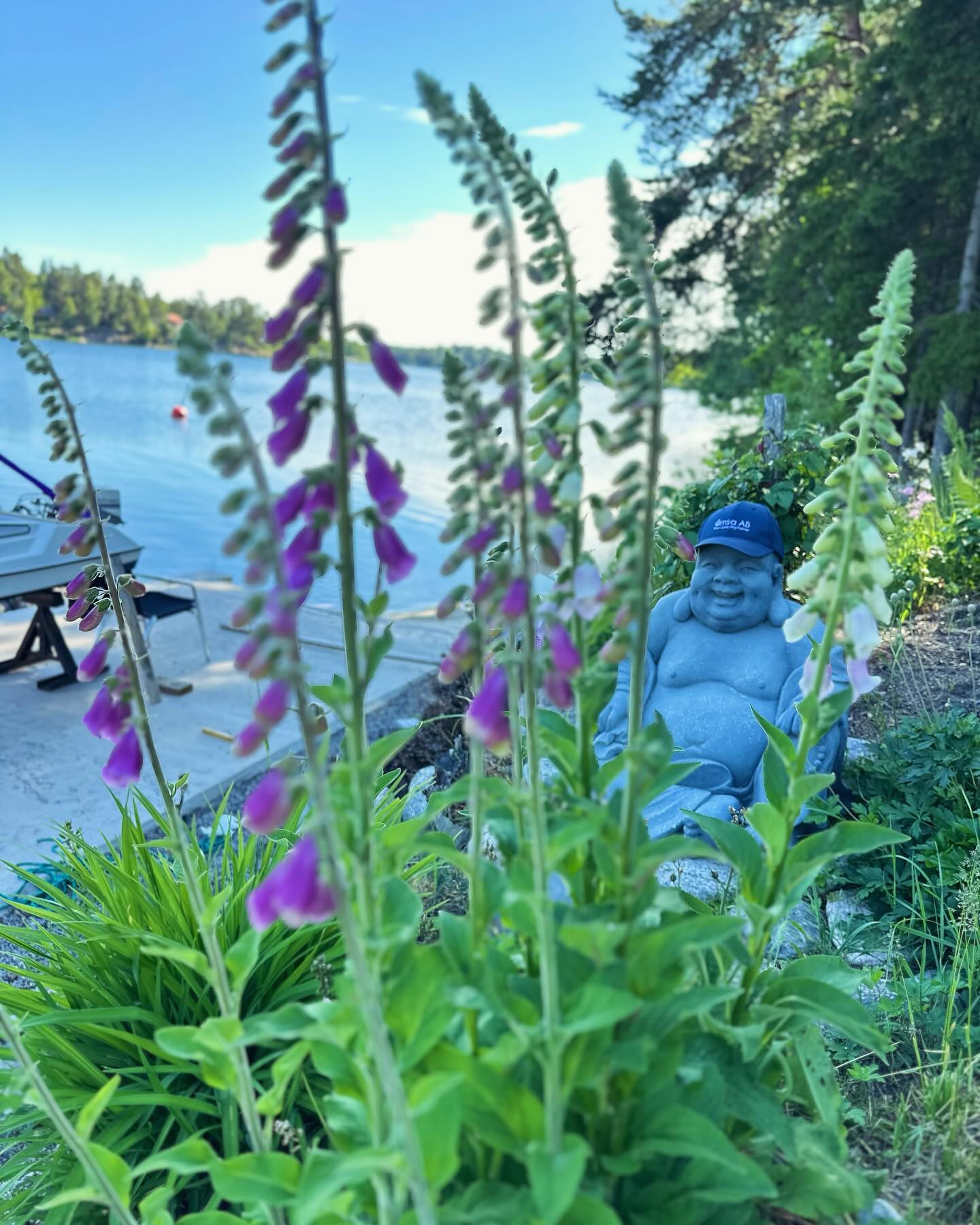 Glad midsommar önskar alla Ömsagubbar & gummor. ☀️ 🌷