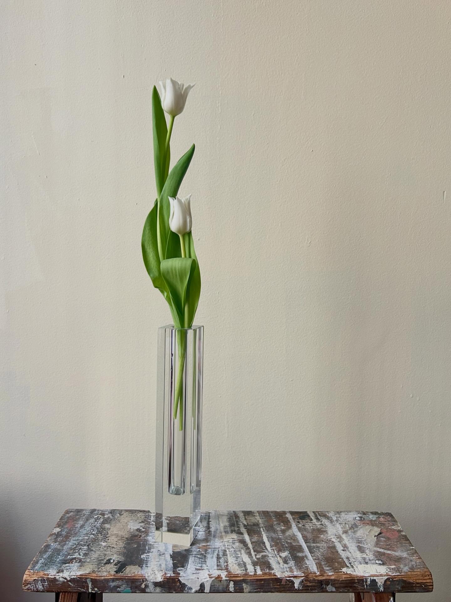 It’s a privilege to live in a city populated by immigrants. There is so much to be learned through proximity, exchange, and through collective care. We are all so important to each other.
The assault on immigrants and the desecration of our country’s justice system is horrifying. No one should fear being kidnapped from their life. No one should be reduced to a capture quota. No one should be murdered for trying to protect their neighbor.
As a business owner, it’s important that my values are clear. Saint Agnes began as an act of love and tribute with the intention to bring beauty to hard times as well as joyful ones. It’s my hope that within this container, these offerings of beauty can lend some relief in the moments we need it most.
As a person, I know that words are important, but action is the method through which I find purpose - in person, in conversation, and in direct service. For me at least, the real work will not happen in a data space owned by Meta. If you are seeking place to connect, please reach out.
With love, with solidarity, and with bread for all - and roses too.
x
Molly