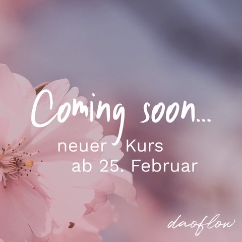 Tai Chi mit Qi-Gong-Elementen
mittwochs 18–19 Uhr · Dortmund-Höchsten
für Einsteiger & Fortgeschrittene
👉 Mehr Infos folgen – trag dich in den Newsletter ein
.
.
.
#taichi #sanftebewegung #innerebalance #neuerkurs #dortmund