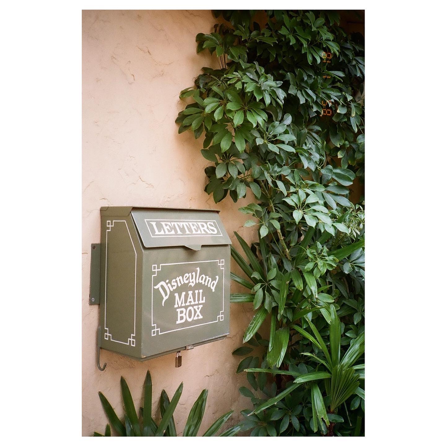 💌💌💌
📷: canon sureshot supreme quartz date / fuji 200
#autoboy3qd #35mm #canon #canonsureshotsupreme #fuji200 #fuji #fujicolorc200