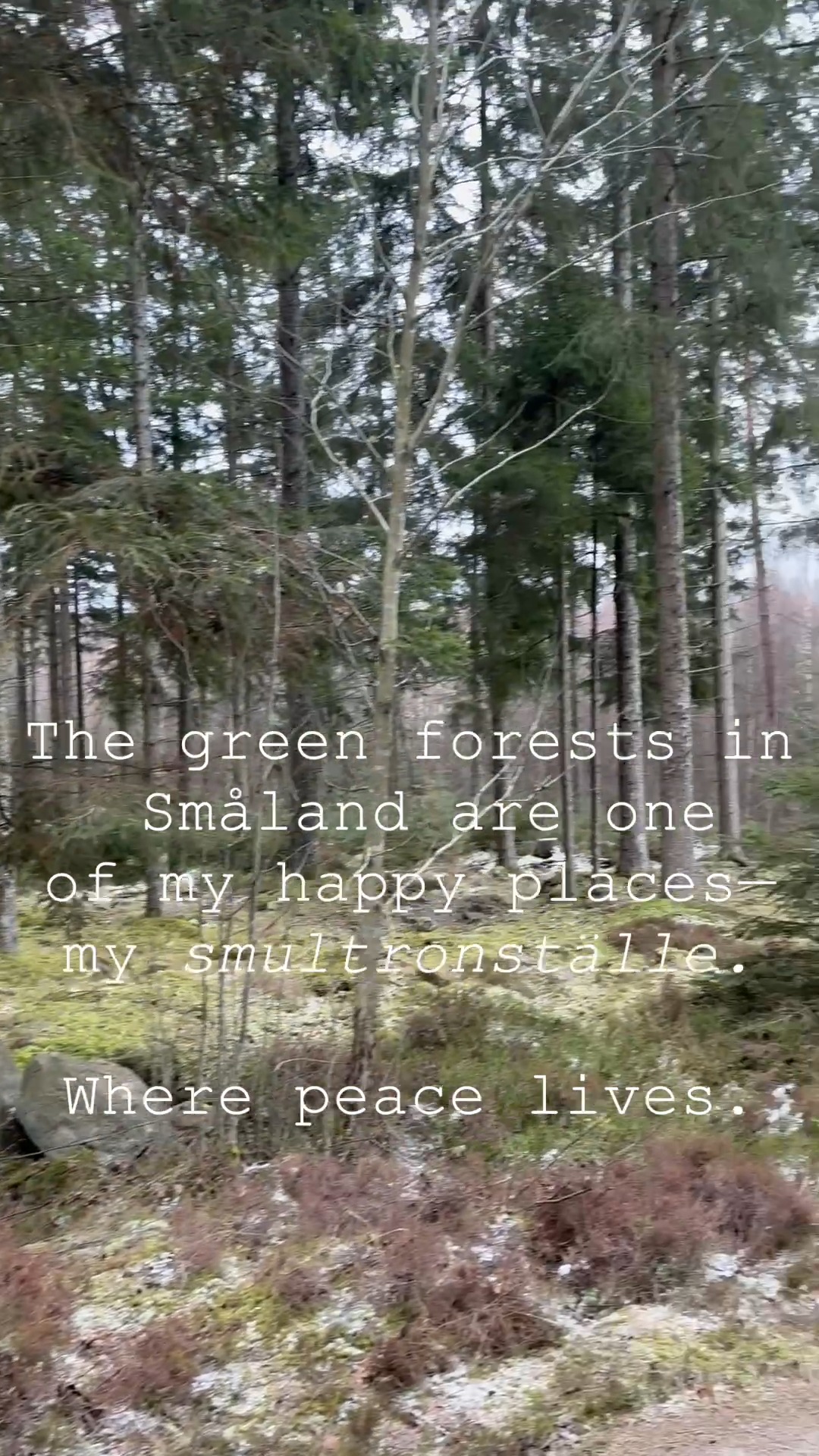 Behind the scenes. Visit grandmothershome.com for more. We're looking forward to welcoming you. ❤️Easter 2026. 🌿