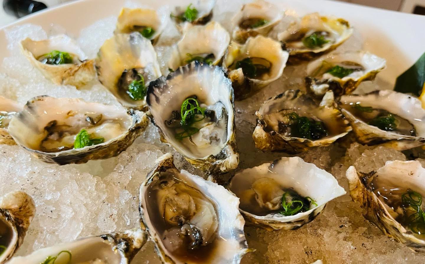 Higata Oysters 😉
Nam Nam Nam
Specialty apps!
#catering
#sushi
#san Diego
#oysters
#higata