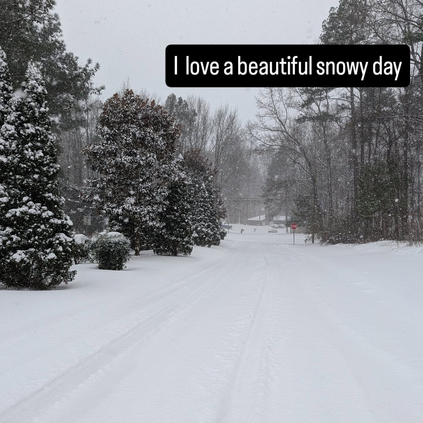 I had to get out in the snow. It doesn't happen often like this so here's to a beautiful day.