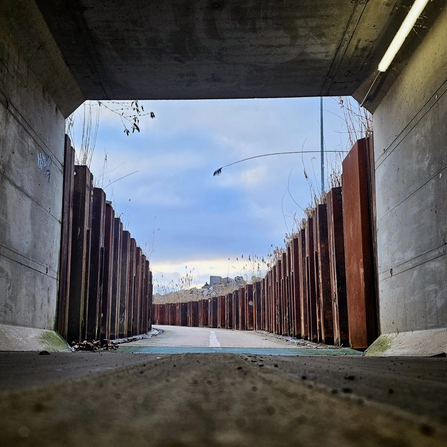 Tunnels are great for getting from point A to B quickly — safe, efficient, and sheltered from the elements. But remember, staying in the tunnel narrows your view. Step outside, and you'll see just how much more there is to discover. ✌️👀 #mobilephotography #samsungphoto #tunnel #spring #outdoors #hike #qotd #motivation