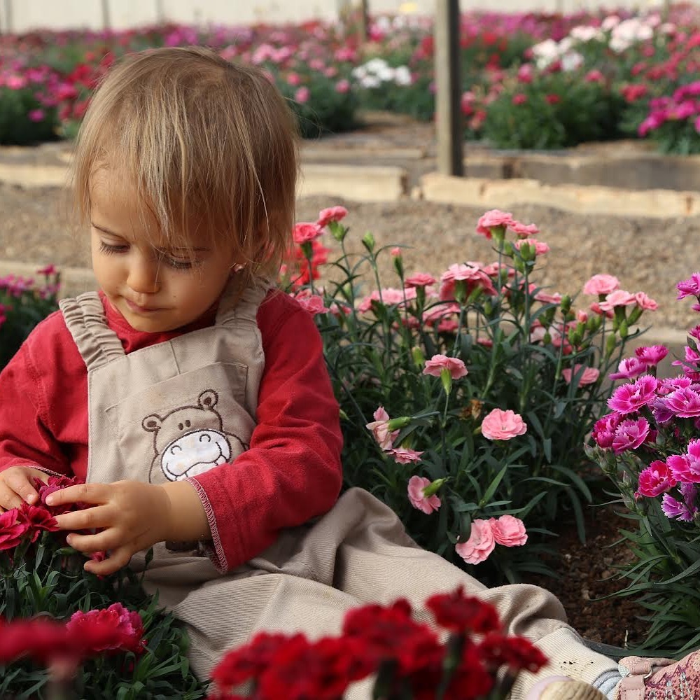 Our next generation explores the pot varieties
.
.
.
.
.
.
.
#flowers #followers #follow #kids #greenhouselife #greenhouse #happy #pink #love #play #with #color #colorful