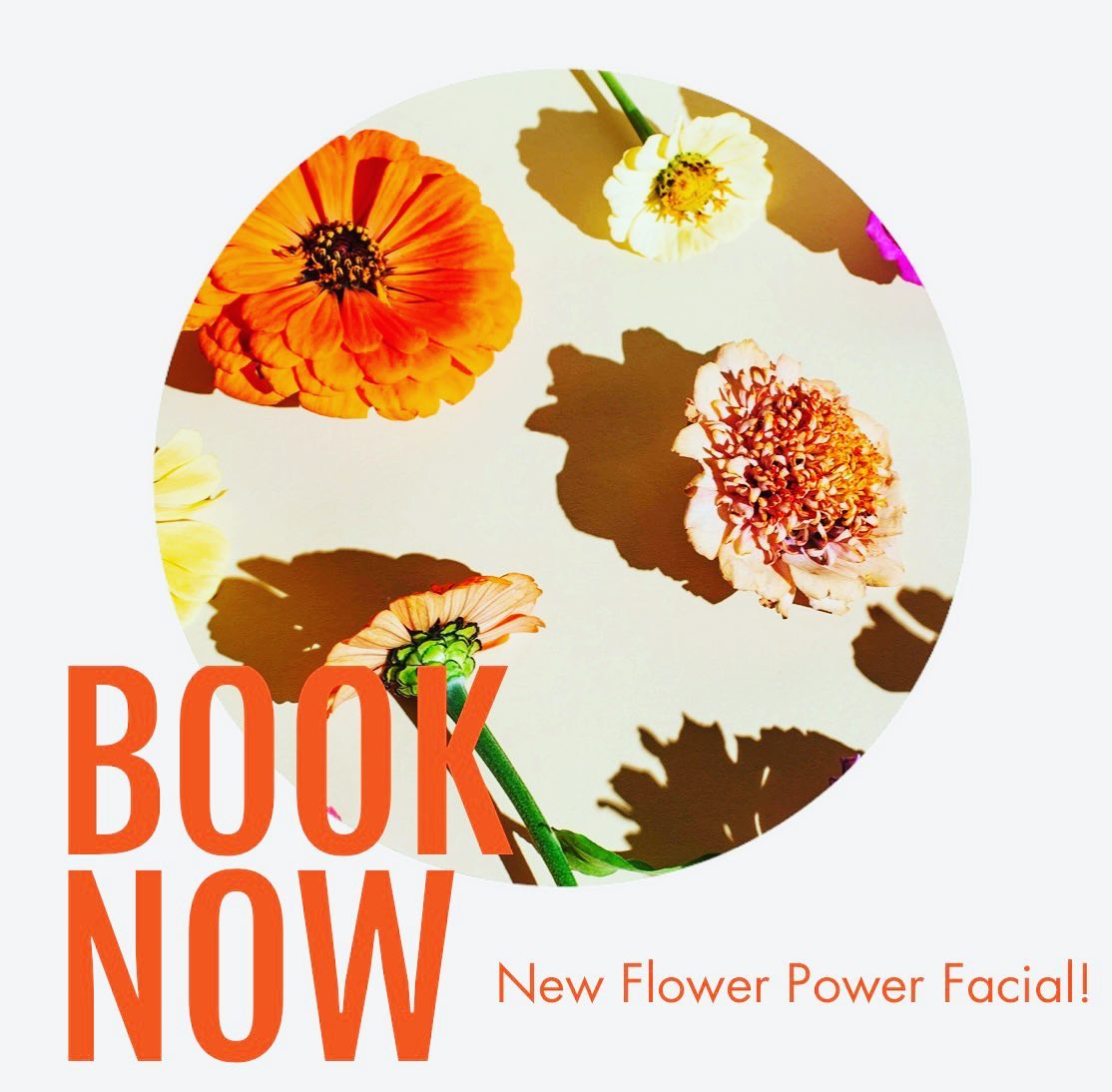 New Facial Alert!! Celebrate Spring with this refreshing treatment that features over 10 floral ingredients! This brightening facial is an experience for the senses and includes a lavender based scalp and foot massage, brightening calendula hydro jelly mask, rose infused hydrating toner and much more. Start your Spring off fresh with this limited offering. Booking link in bio! 🌹🌸💐🌺🌷🌻🥀
