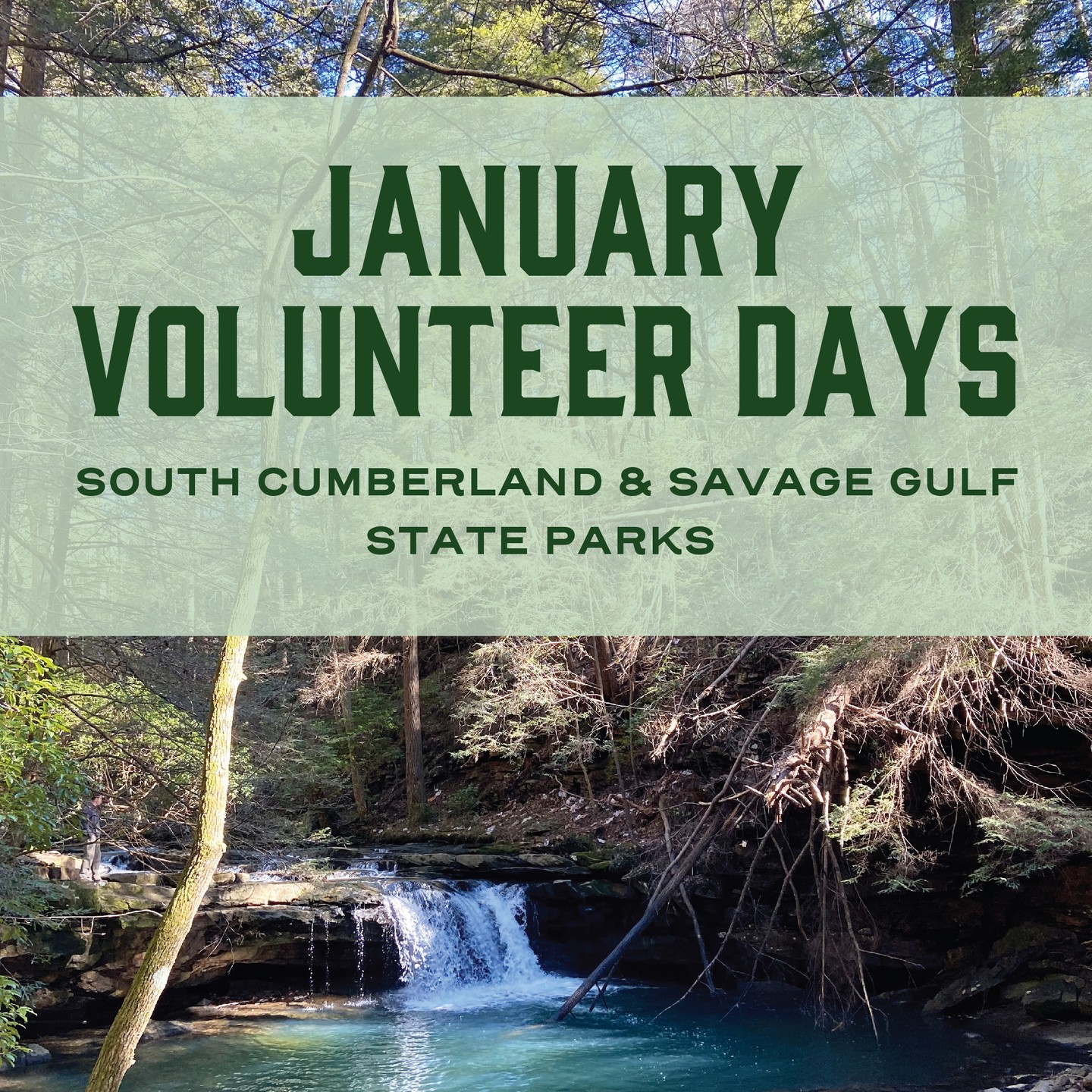 🌿 Volunteer in January 2025 at South Cumberland & Savage Gulf State Parks! 🌿
Looking for a way to give back to the great outdoors? Join us for these upcoming volunteer opportunities:
Meadow Creek Campground Volunteer Days
Help build a new campground along the North Plateau Trail at Savage Gulf! Tasks include clearing trees, rocks, and soil for tent pads and trails.
📅 Dates: Saturday, January 11th | Friday, January 17th | Sunday, January 26th
⏰ Time: 9 AM - 1 PM
📍 Meet at the East Trailhead off TN-399
👉 Details & Registration: Meadow Creek Campground Volunteer Day (Link in bio)
Invasive Species Removal at the Coke Ovens
Join Ranger Hannah to remove invasive species at Grundy Lakes in South Cumberland State Park.
📅 Date: Sunday, January 19th
⏰ Time: 9 AM - 12 PM
📍 Meet at Grundy Lakes
👉 Details & Registration: Invasive Species Removal - Coke Ovens (Link in bio)
Bring gloves, food/water, weather-appropriate clothing, and closed-toe boots. Liability waivers are required for all activities.