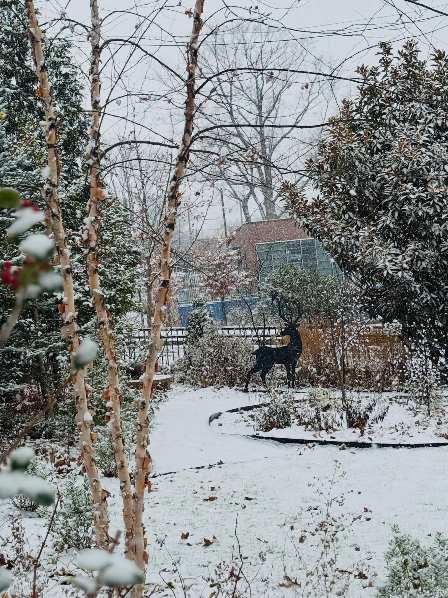 Working on my winter interest! #gardeningforthechesapeake