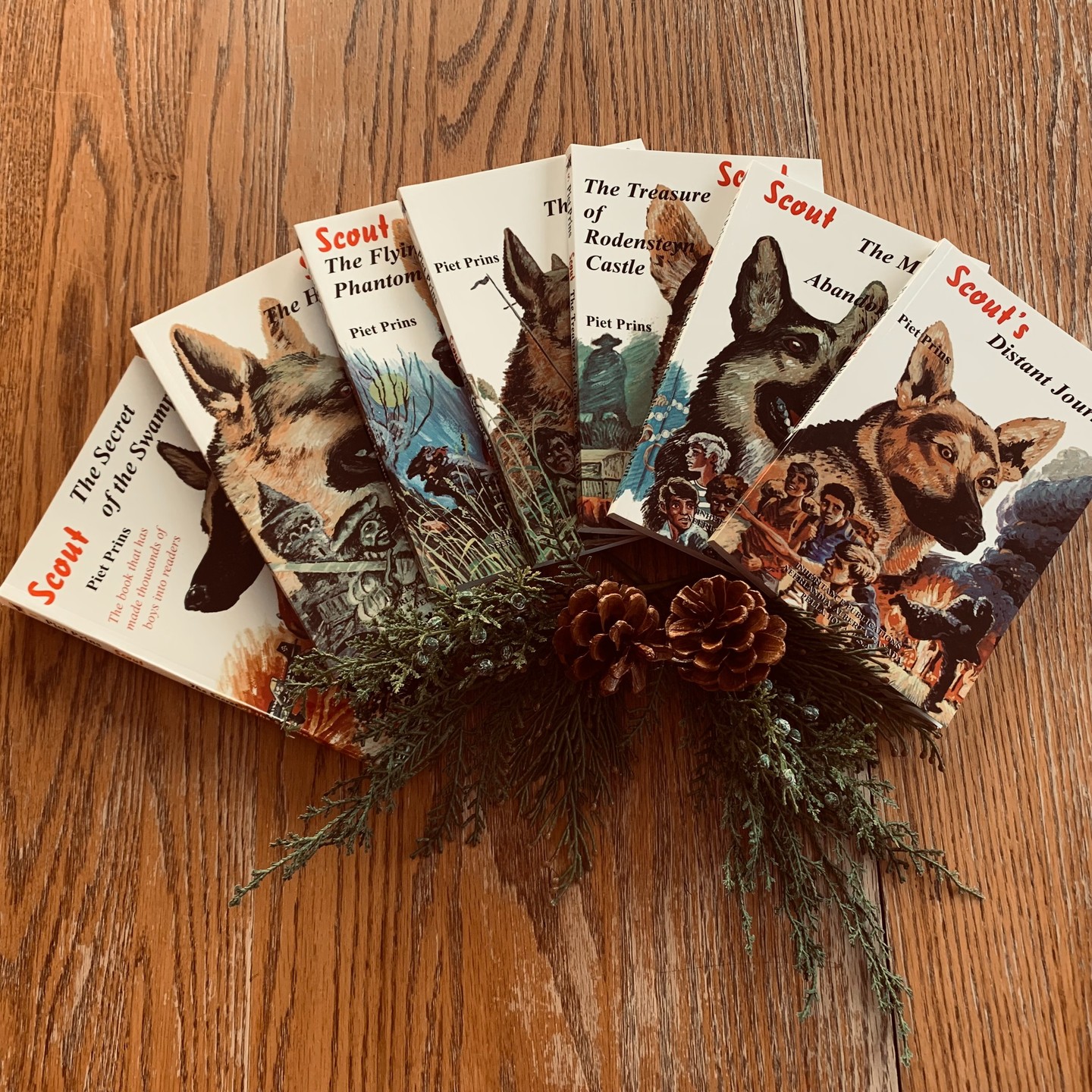 Giveaway Time!
We at Providence Books & Press are a small, start-up Reformed book company, and we want to give someone a free set of the Piet Prins classic Scout books by Inheritance Publications. The giveaway includes free shipping.
Click the Link in our bio to enter!
#bookgiveaway
#pietprins
#scout
#christmas
#reformed
#christianbooks
#christianbookstagram
