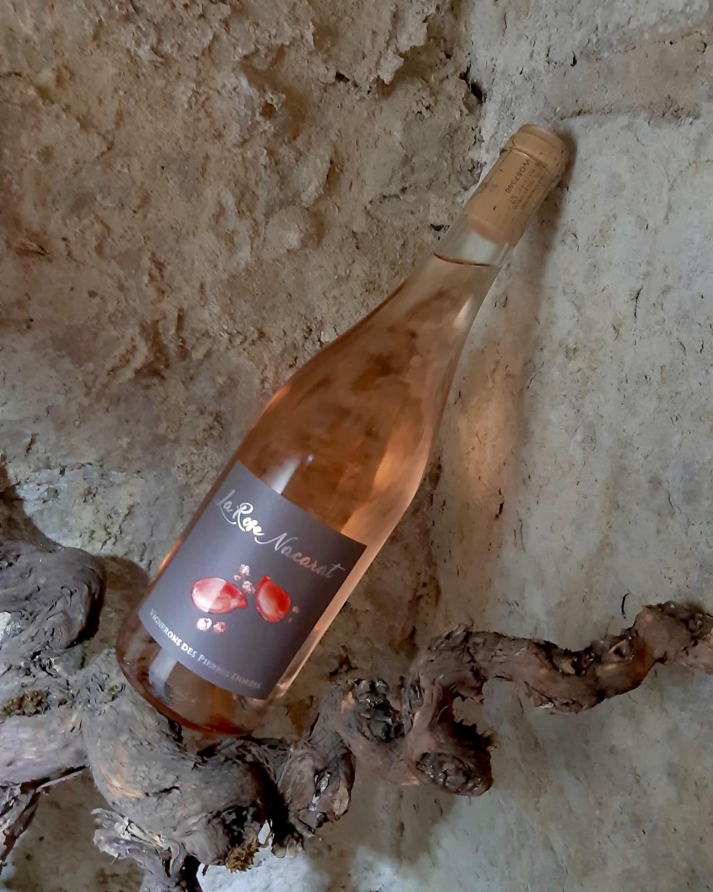 La rose de Nacarat nez intense d'arômes raffinés, gourmandise assurée #beaujolais #vin #wine
#rosé #winelovers #gayvins