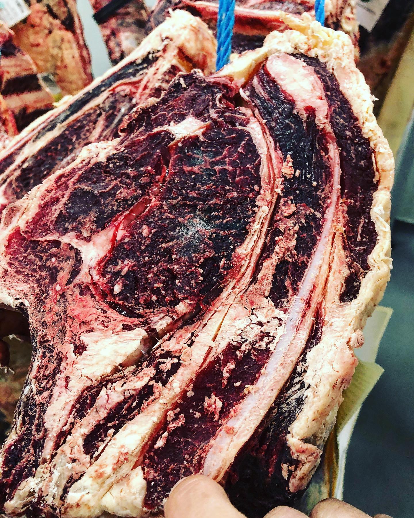 Une belle Montbéliarde en sélection chez @boucherie_lyonnaise_origine_ #mangezmoimangezmoi #elevage #corbas