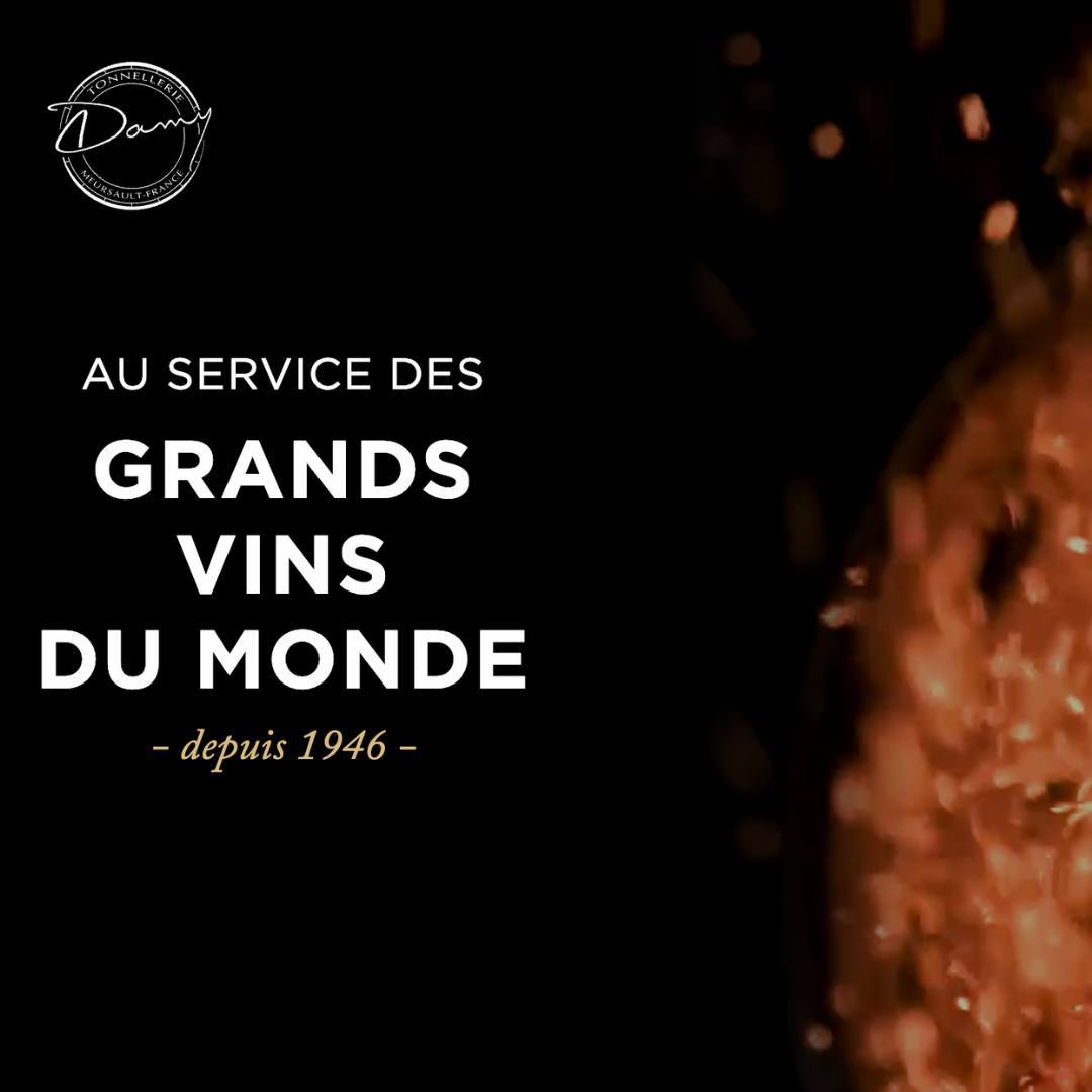 To start the year off, Bouchard Cooperages is pleased to invite you to discover the new sublime @tonnelleriedamy website. Redesigned to reflect their savoir-faire, commitment to winegrowers, and enthusiasm for the world of wine.
Please explore to learn more about this emblematic Burgundian Cooperage from Meursault!
👉 Explore it now: https://tonnellerie-damy.com/en/