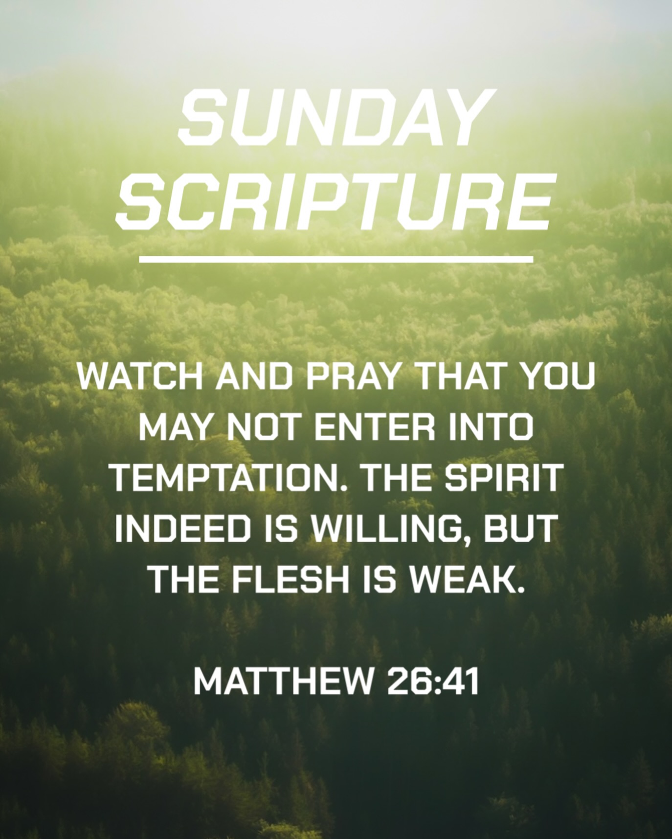 Have a blessed Sunday!
.
.
.
#sundayscripture #bibleverse