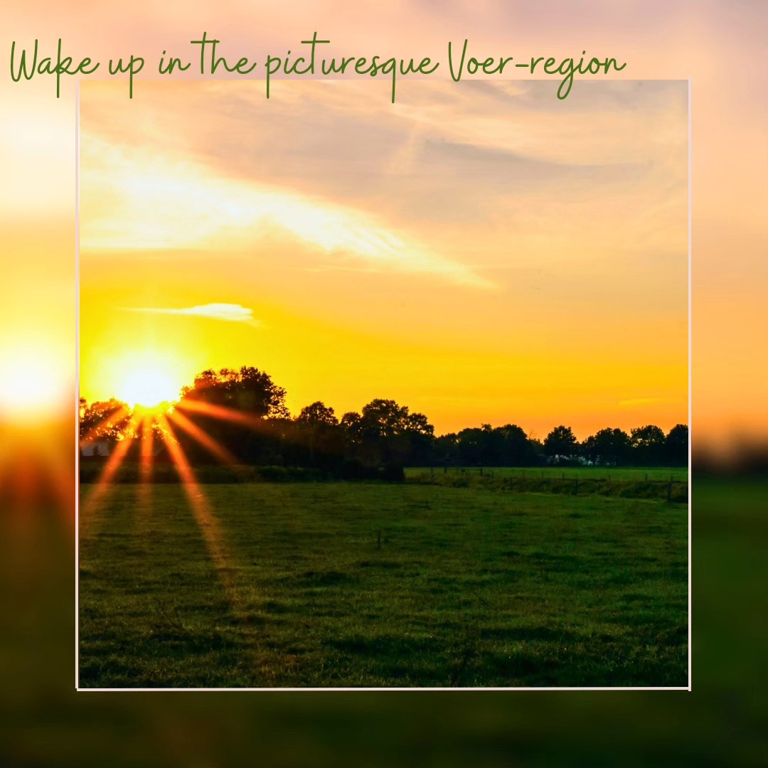 🧡 E N J O Y I N G I N D I A N S U M M E R 🧡 @ Mille Fleurs 🌸💕
Do you enjoy the warm #idiansummersunset as much as me? 🧡
Take the opportunity to enjoy one of our lovely apartments now in a characteristically old school and a beautiful region to relax, walk or cycle and enjoy the gastronomy.
👉 Book now on www.millefleurs.be
#voerstreek #millefleursapartments
#indiansummer #sunset #whataview #beautifullandscape #naturelover #natuur #voeren #limburg #wandelen #hiking #appartementhuren #vakantiehuis #vacation #rent #apartment #rentapartment #vlaanderenvakantieland #ilovelimburg #vakantieineigenland #sintpietersvoeren #altijdlimburg #belgium #visitlimburg #wanderlust #bronnenwandeling #wandelparadijs