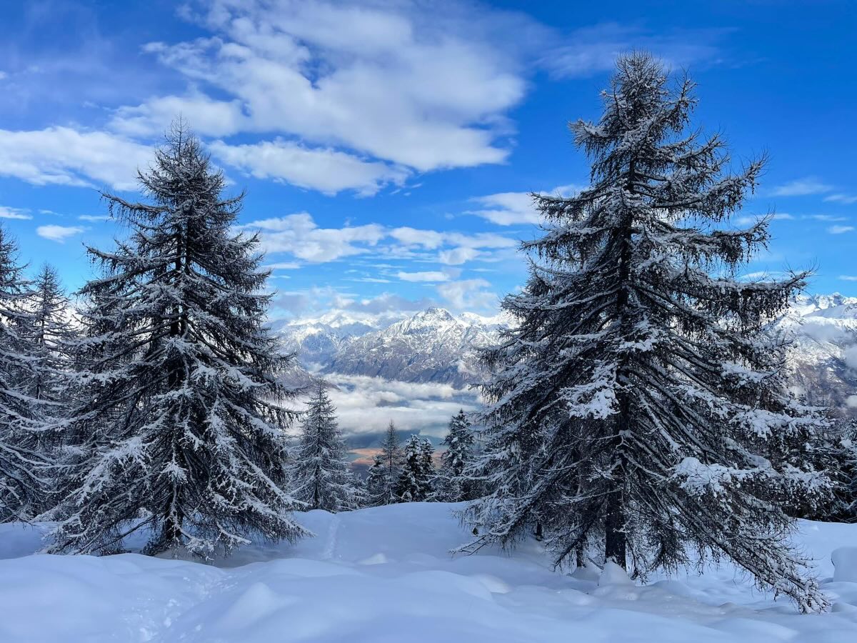 Alpe Scoggione ❄️
28.01.2026